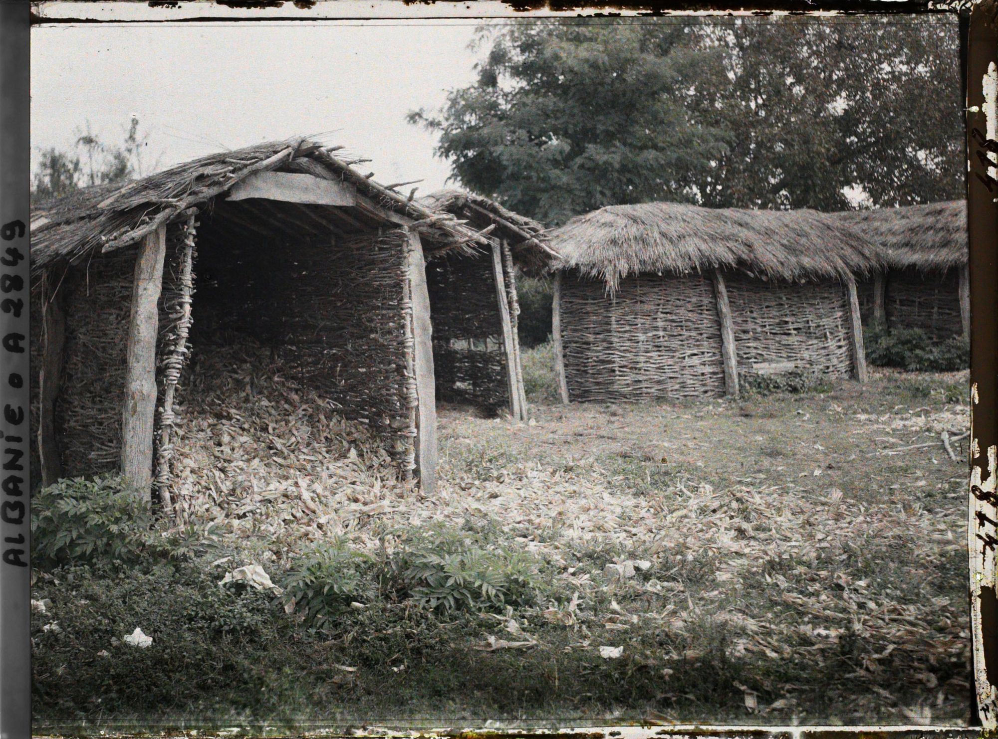 Image représentant Greniers en clayonnages avec la paille de maïs dans le domaine agricole d'Essad Pacha