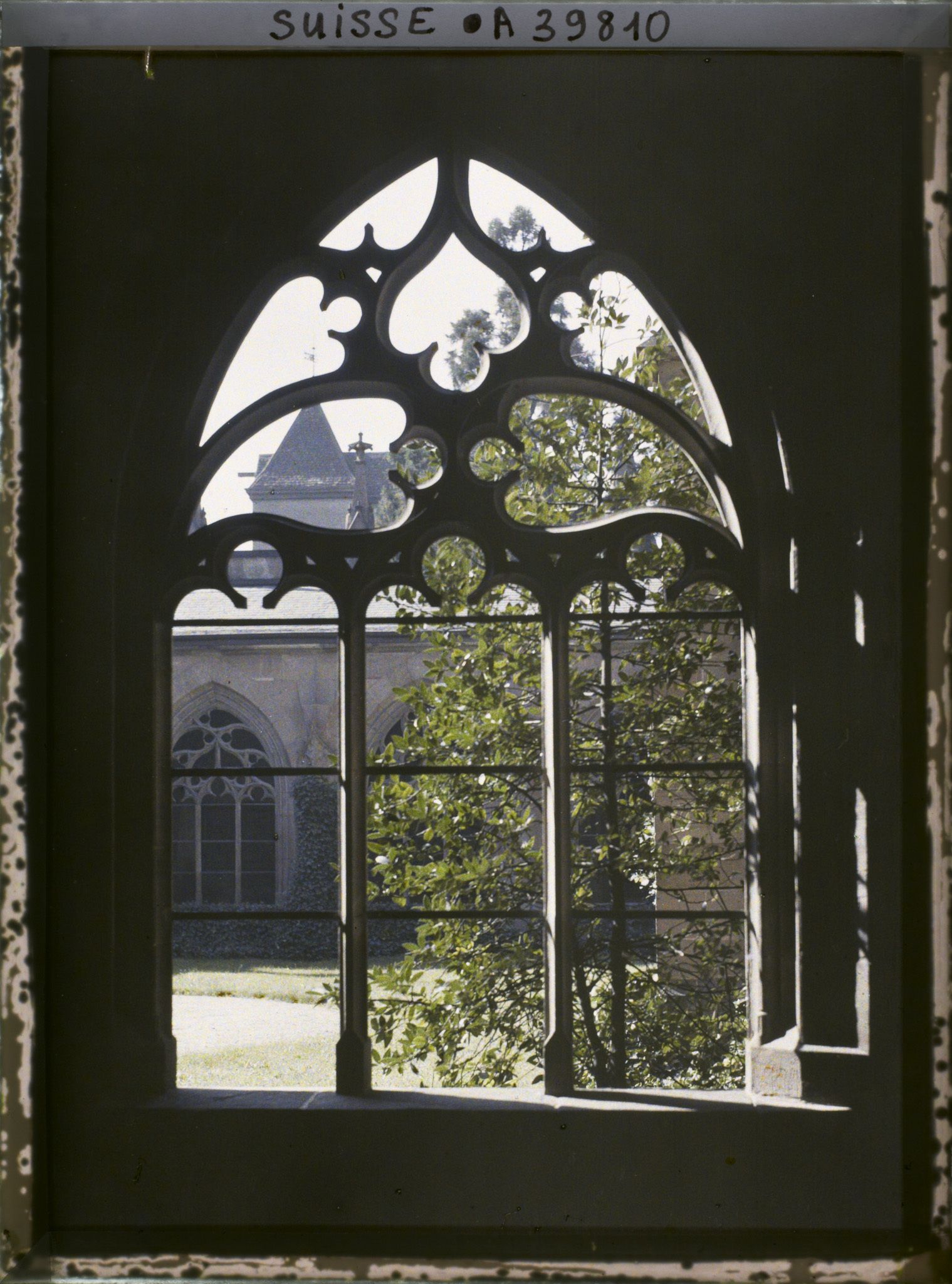 Image représentant Une fenêtre du cloître du Münster