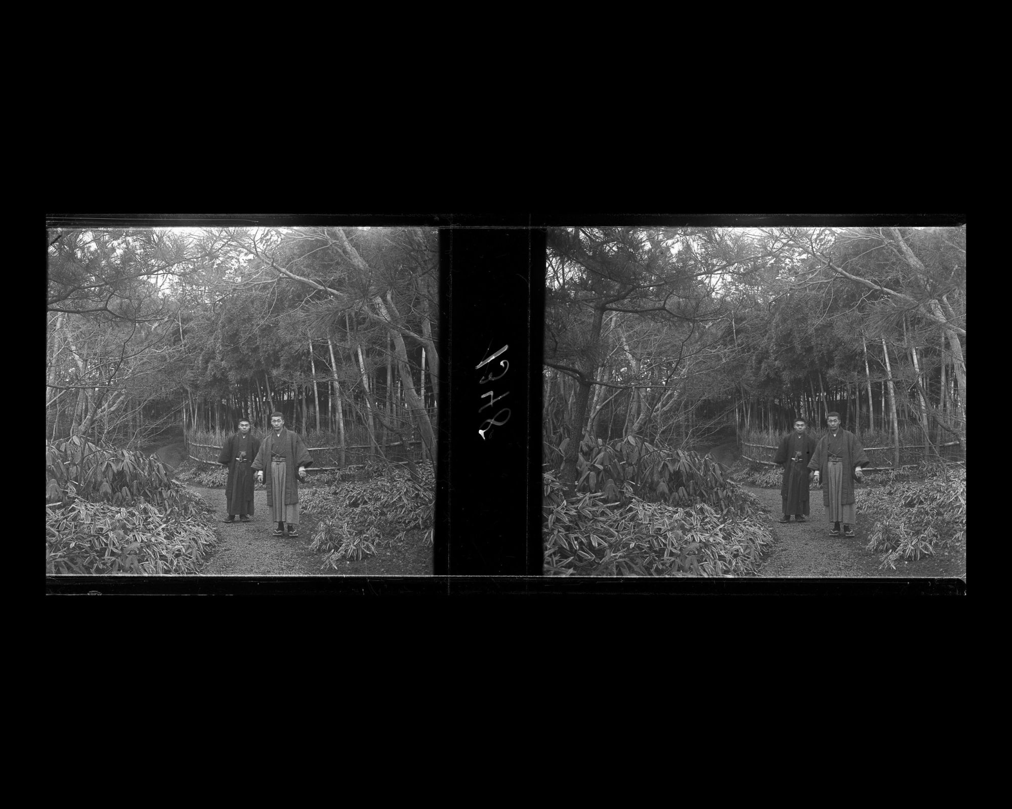 Image représentant Le neveu du comte Okuma ? dans le jardin de M. Masuda