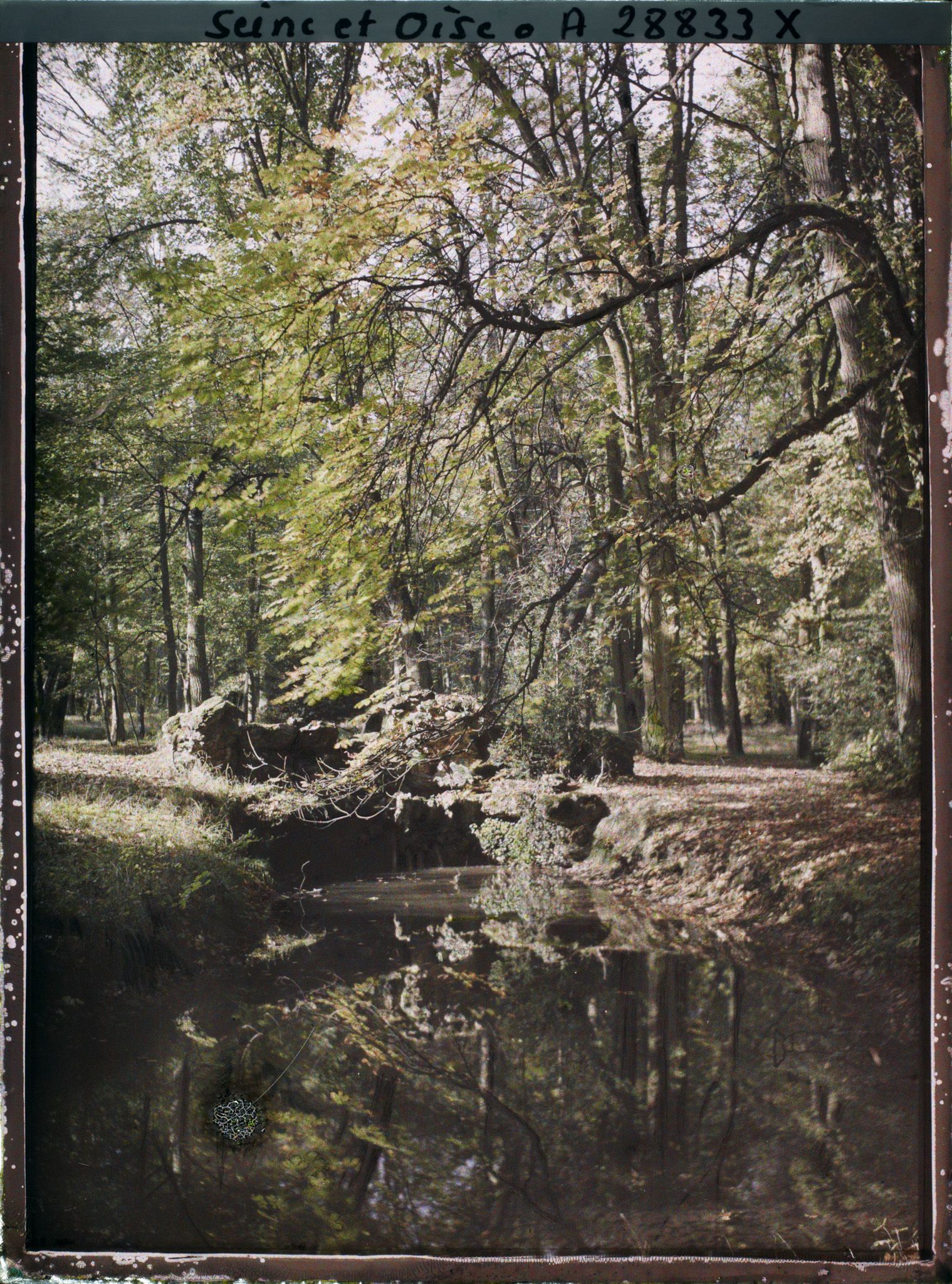 Image représentant Rocaille et pièce d'eau dans le jardin du Trocadéro