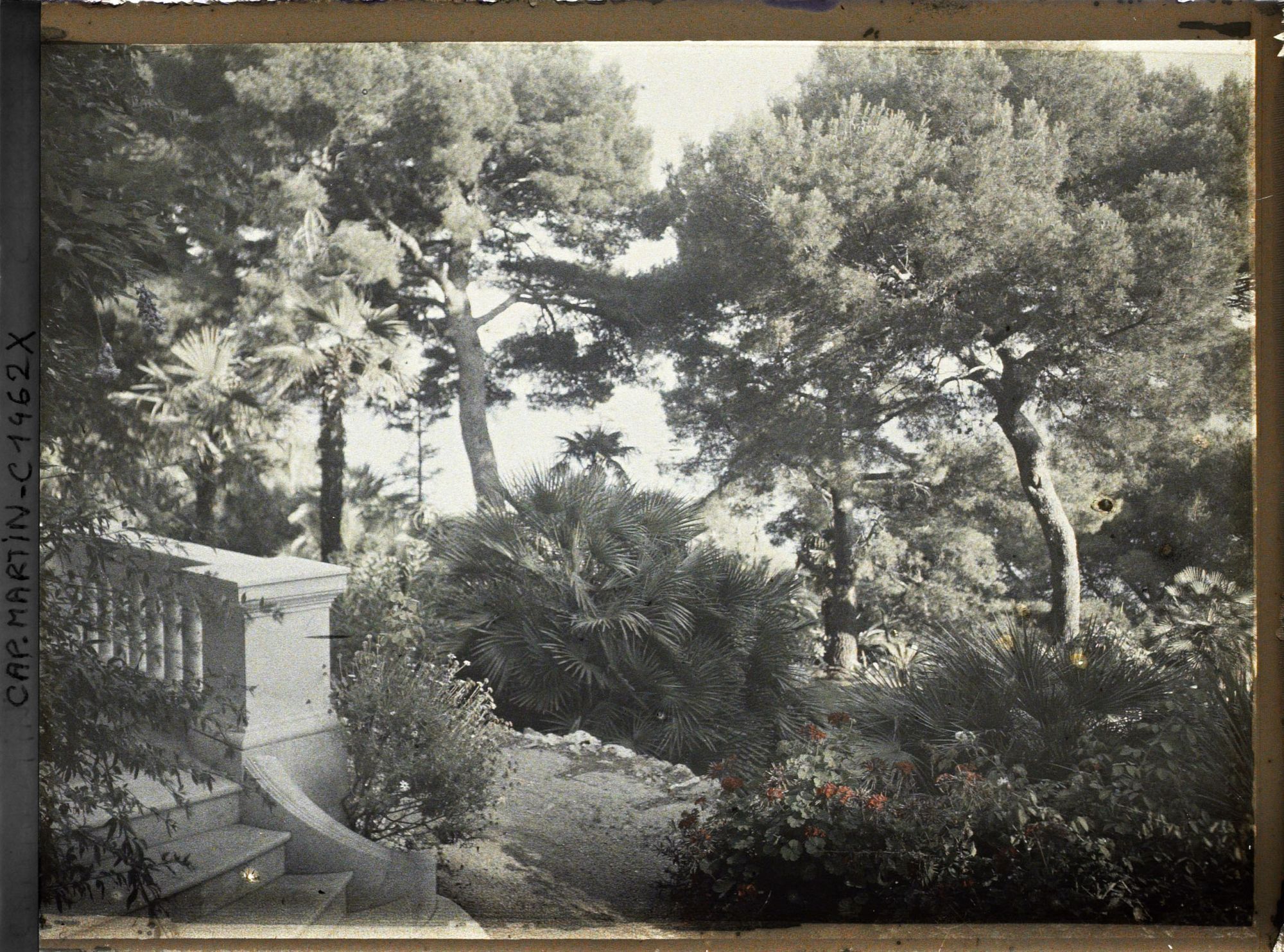 Image représentant Villa Miramar perron et escalier, vue sur le jardin vers la mer