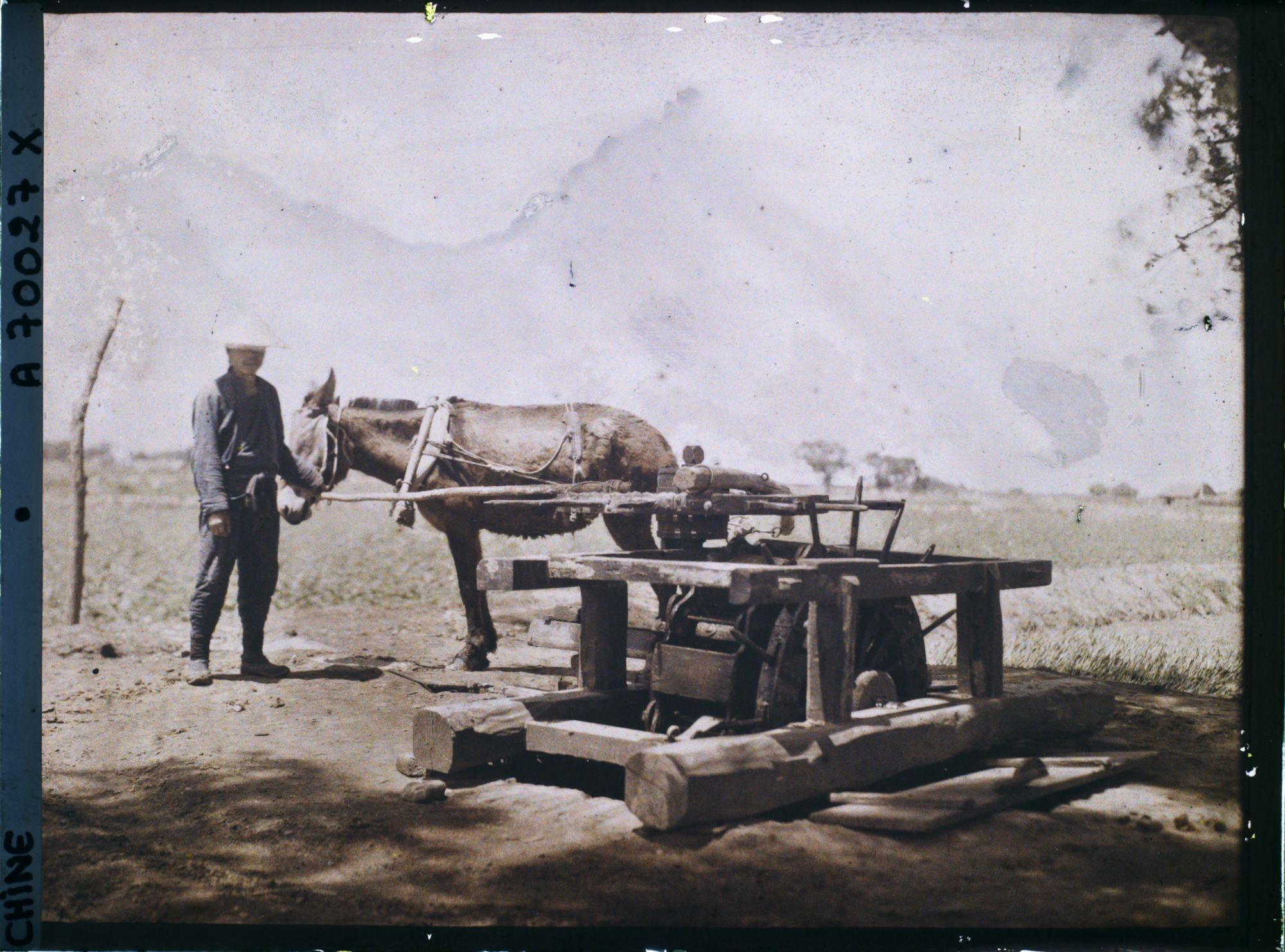 Image représentant Dans les champs