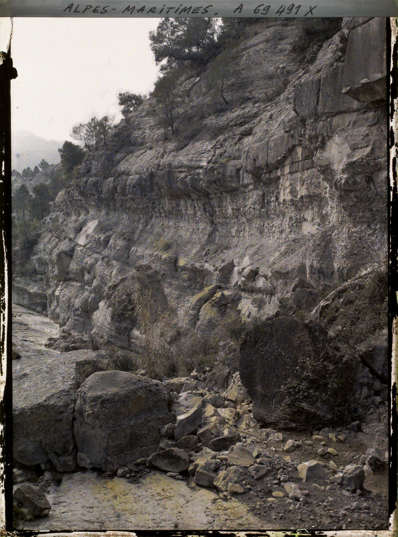 Image représentant Strates géologiques et végétation