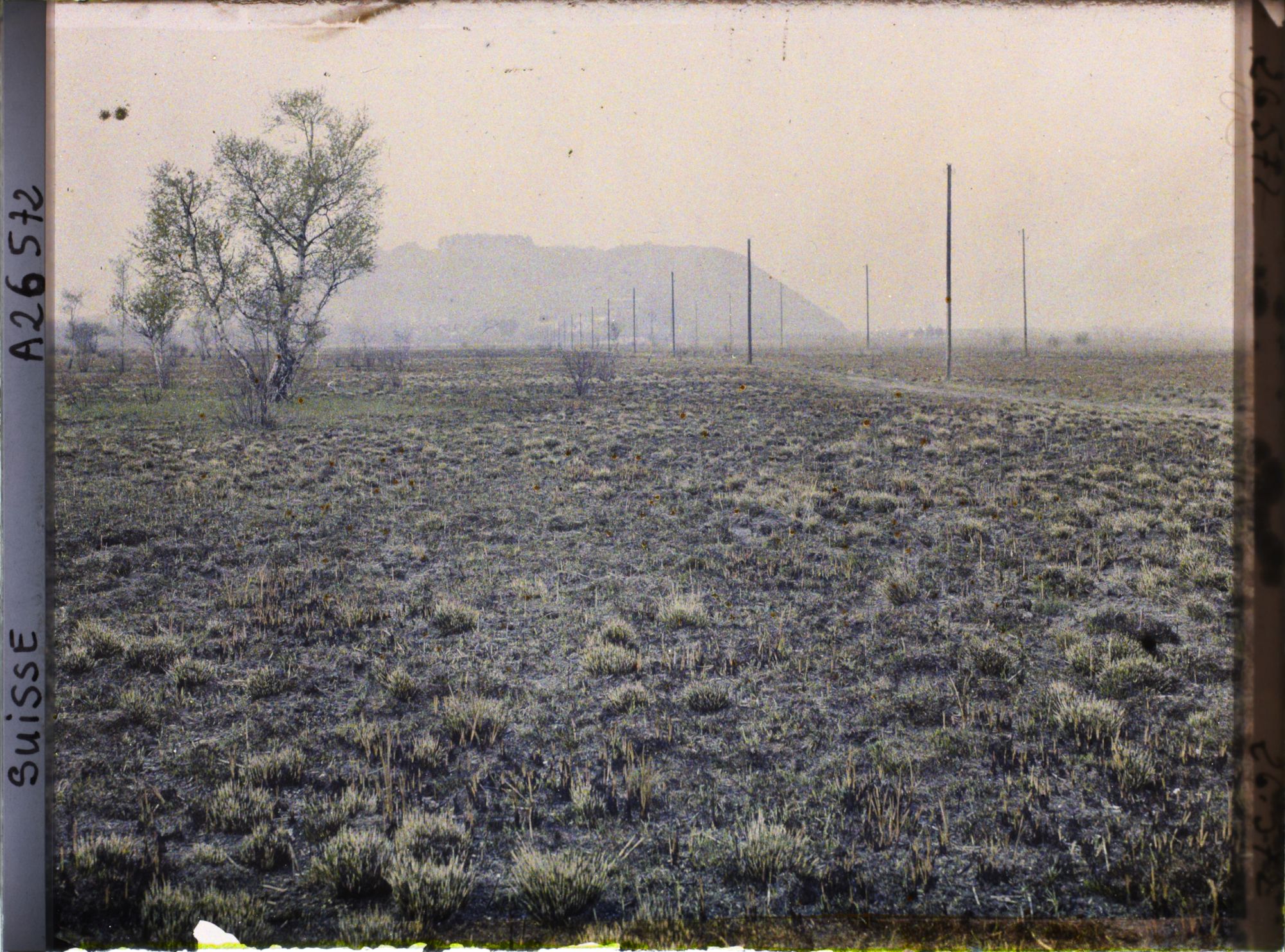 Image représentant La route de l'île Saint-Pierre, à 15 minutes de Cerlier