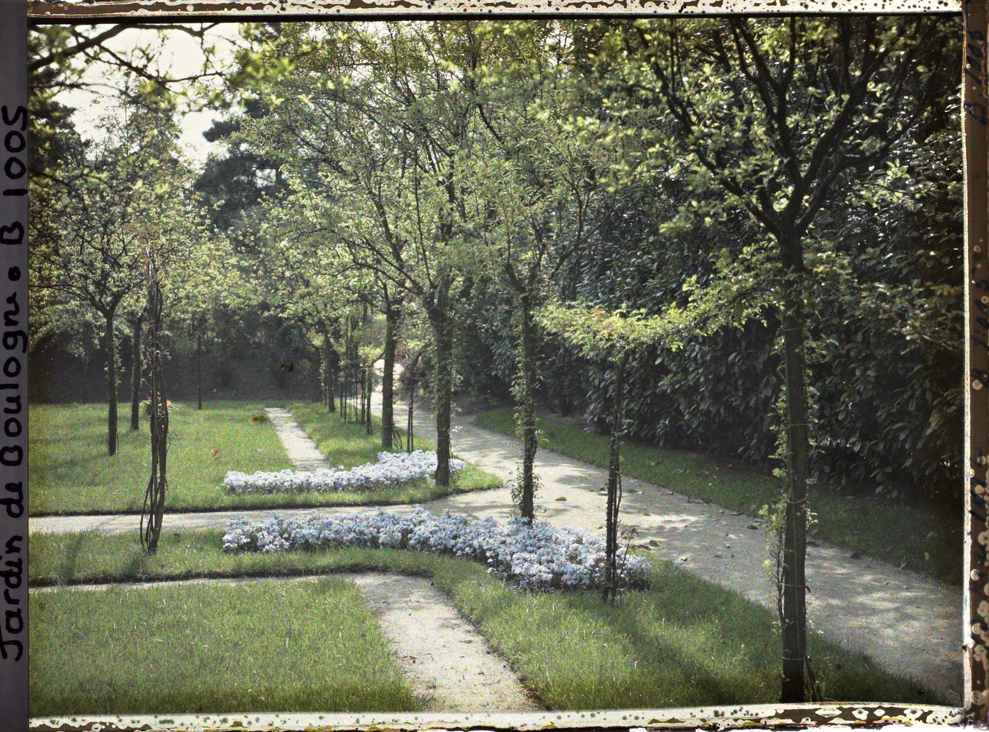 Image représentant Allée ouest du verger-roseraie longeant la dépendance en direction du jardin japonais