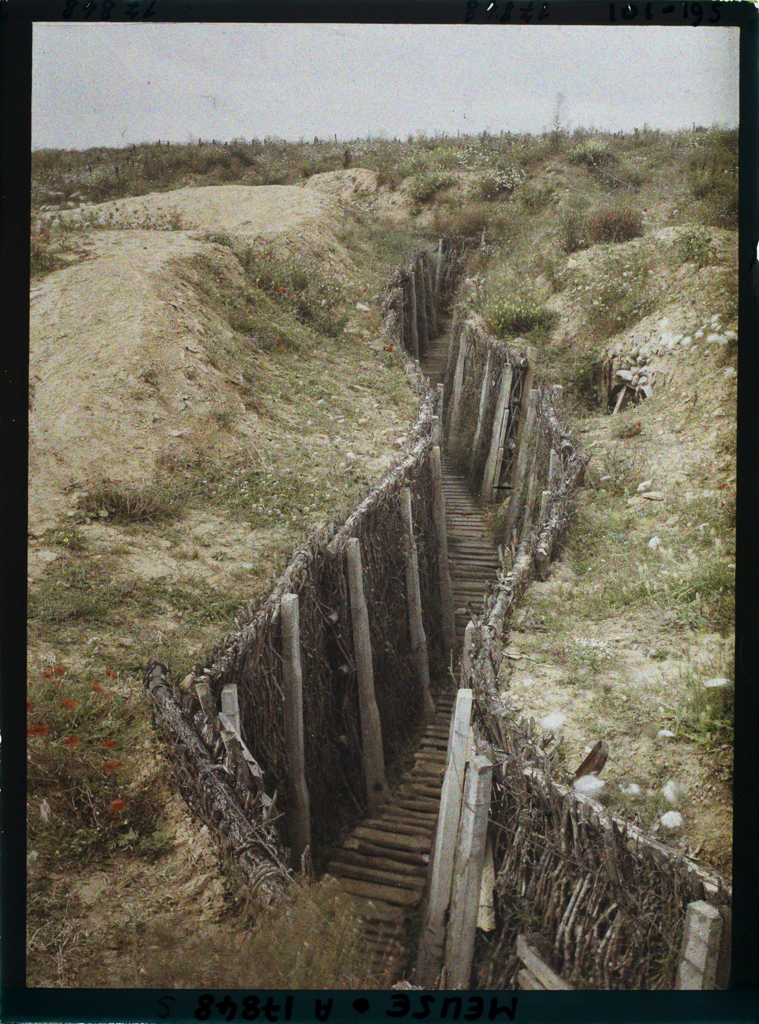 Image représentant France, Fort de Douaumont, Fort de Douaumont - Petite Coupole d'observation Près du fort, une tranchée