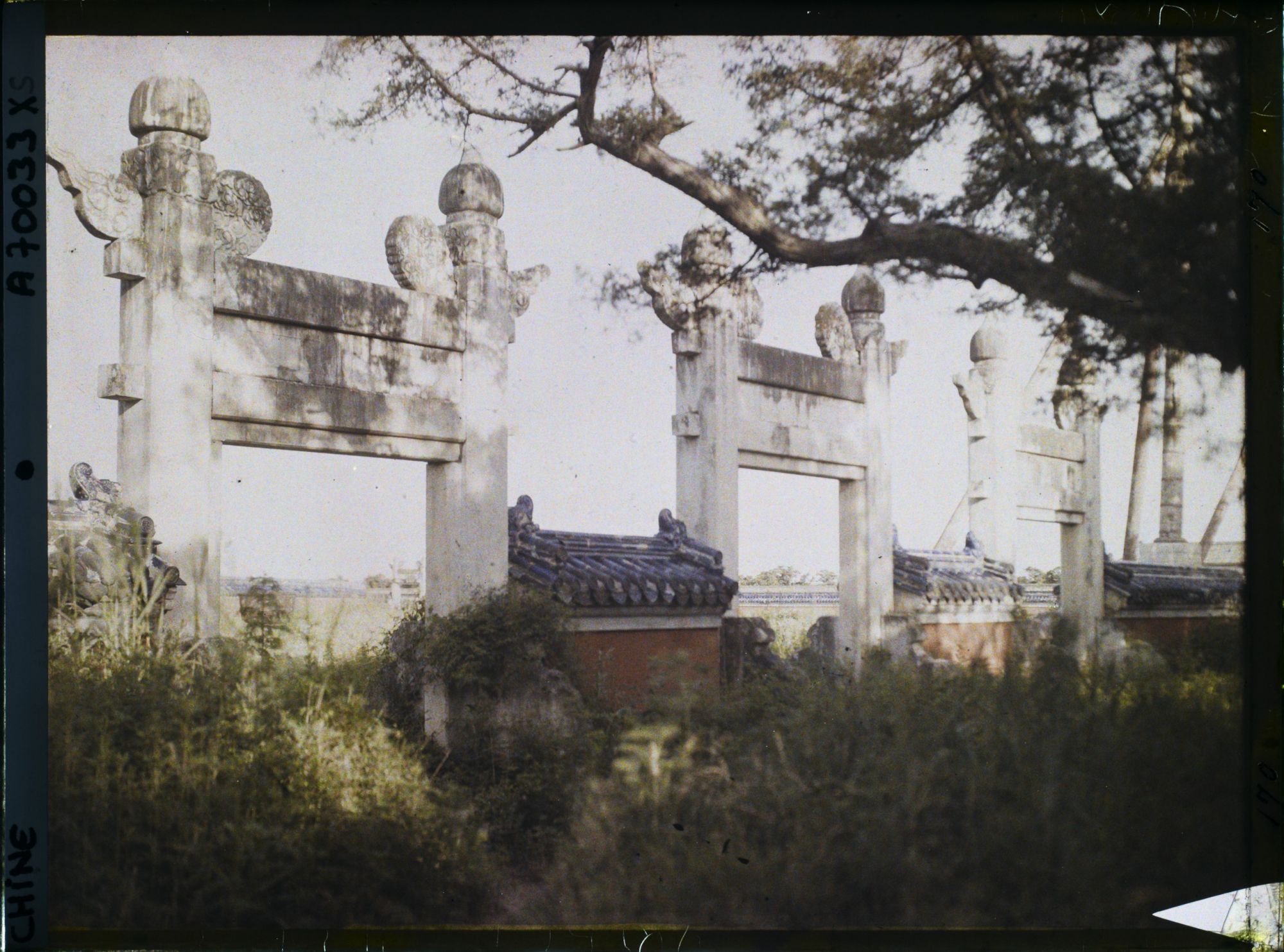 Image représentant Tiantan (" temple du Ciel ")