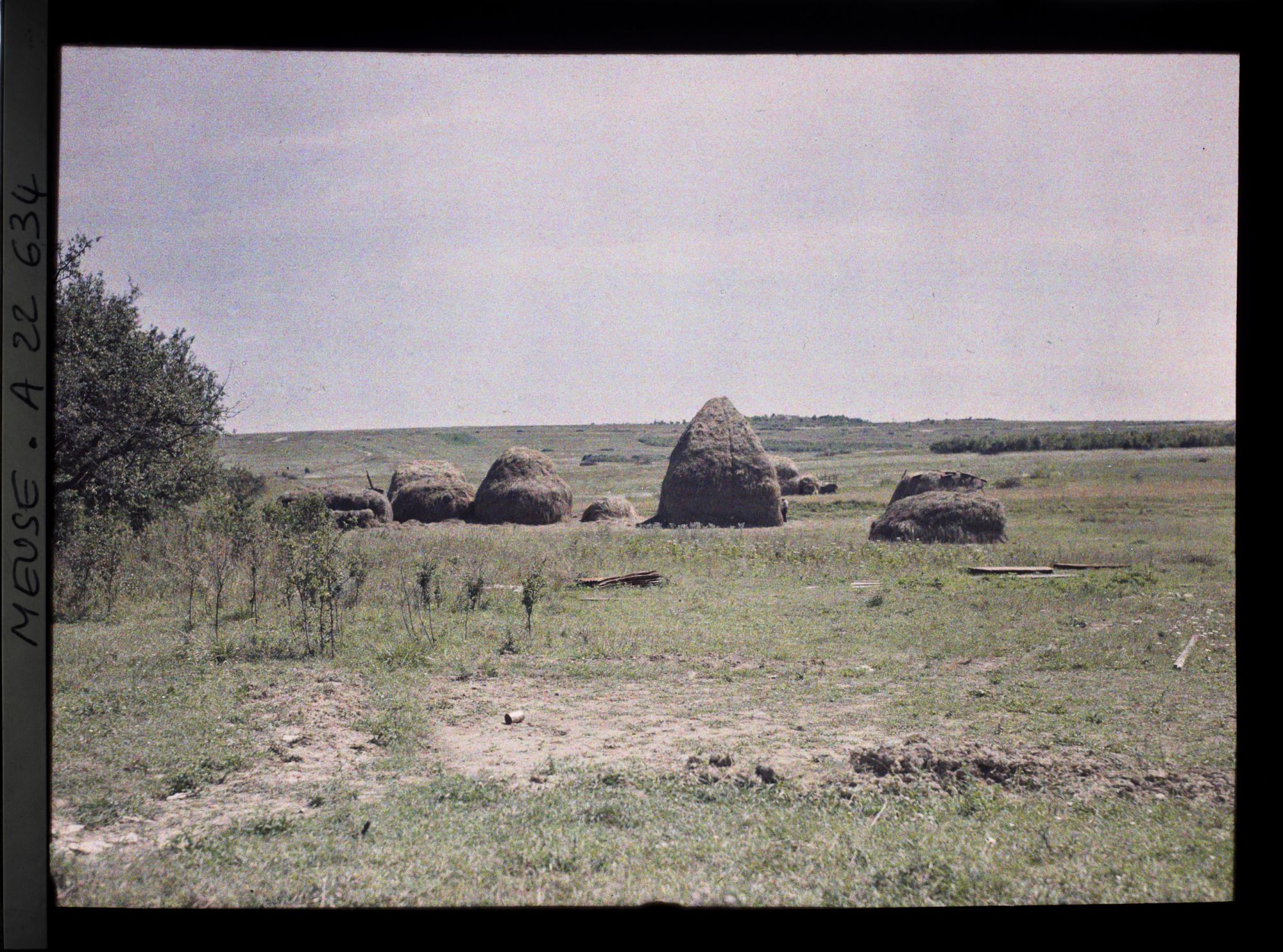 Image représentant France, Marre, Récolte du foin au fond, le fort de Marre