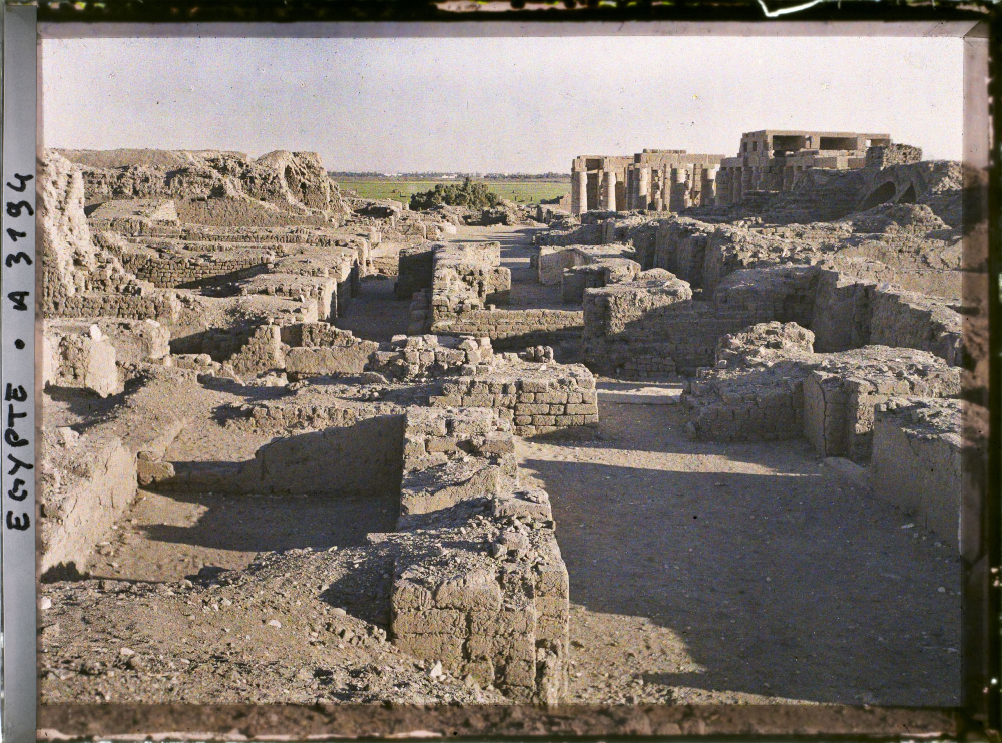 Image représentant Vestiges du Ramesseum