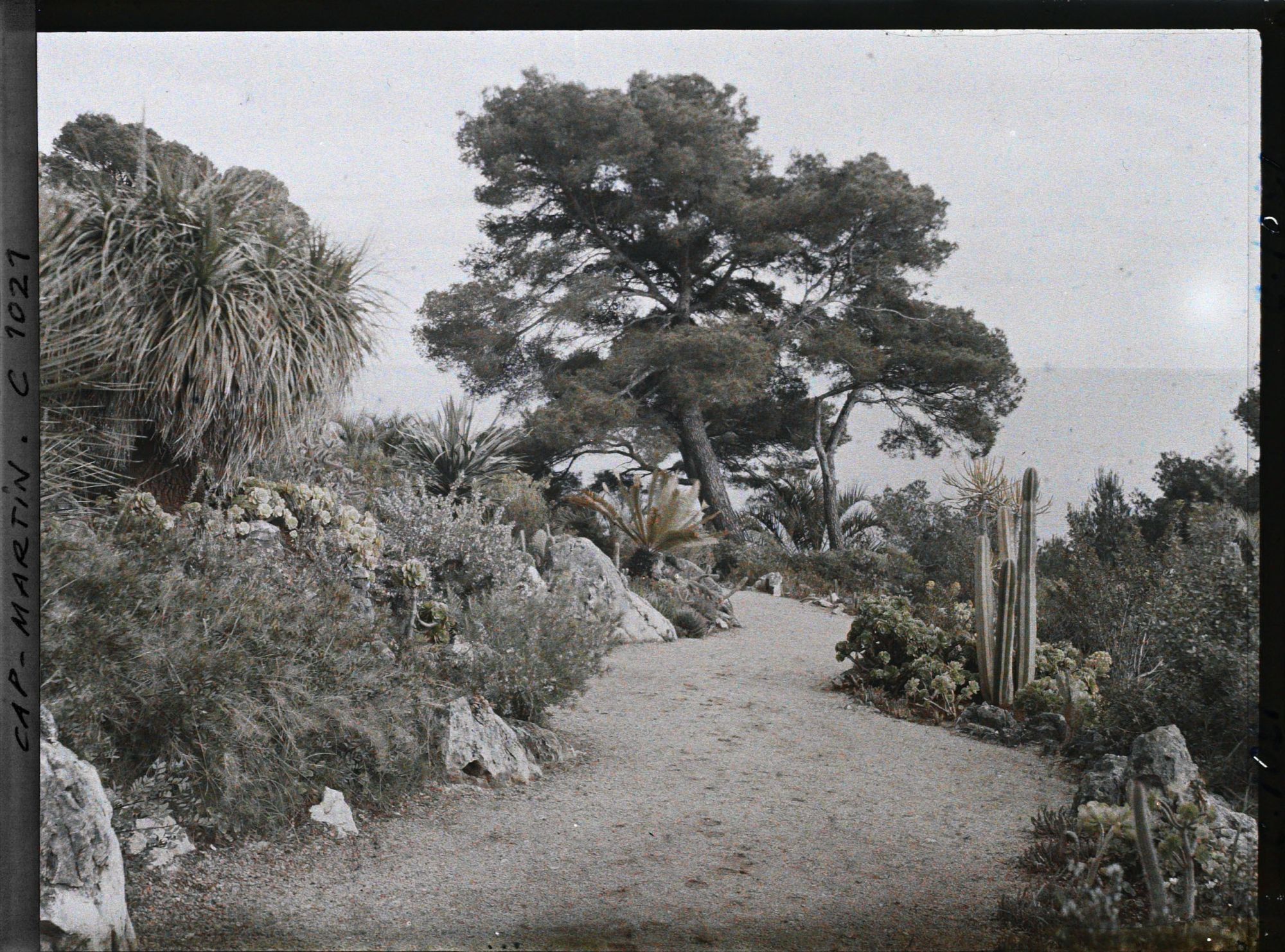 Image représentant Le Jardin, vue vers la mer