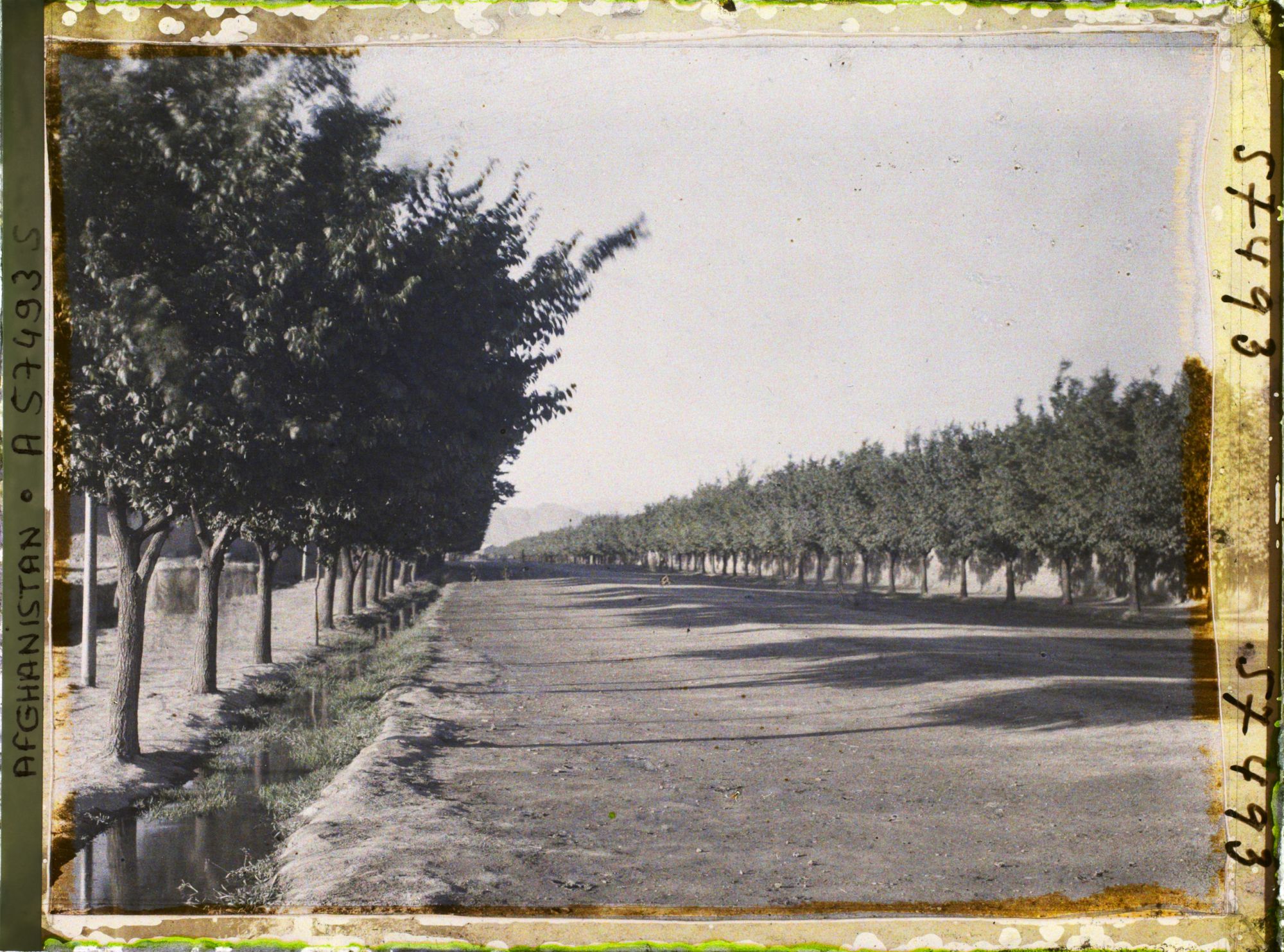Image représentant L'avenue conduisant à l'aérodrome