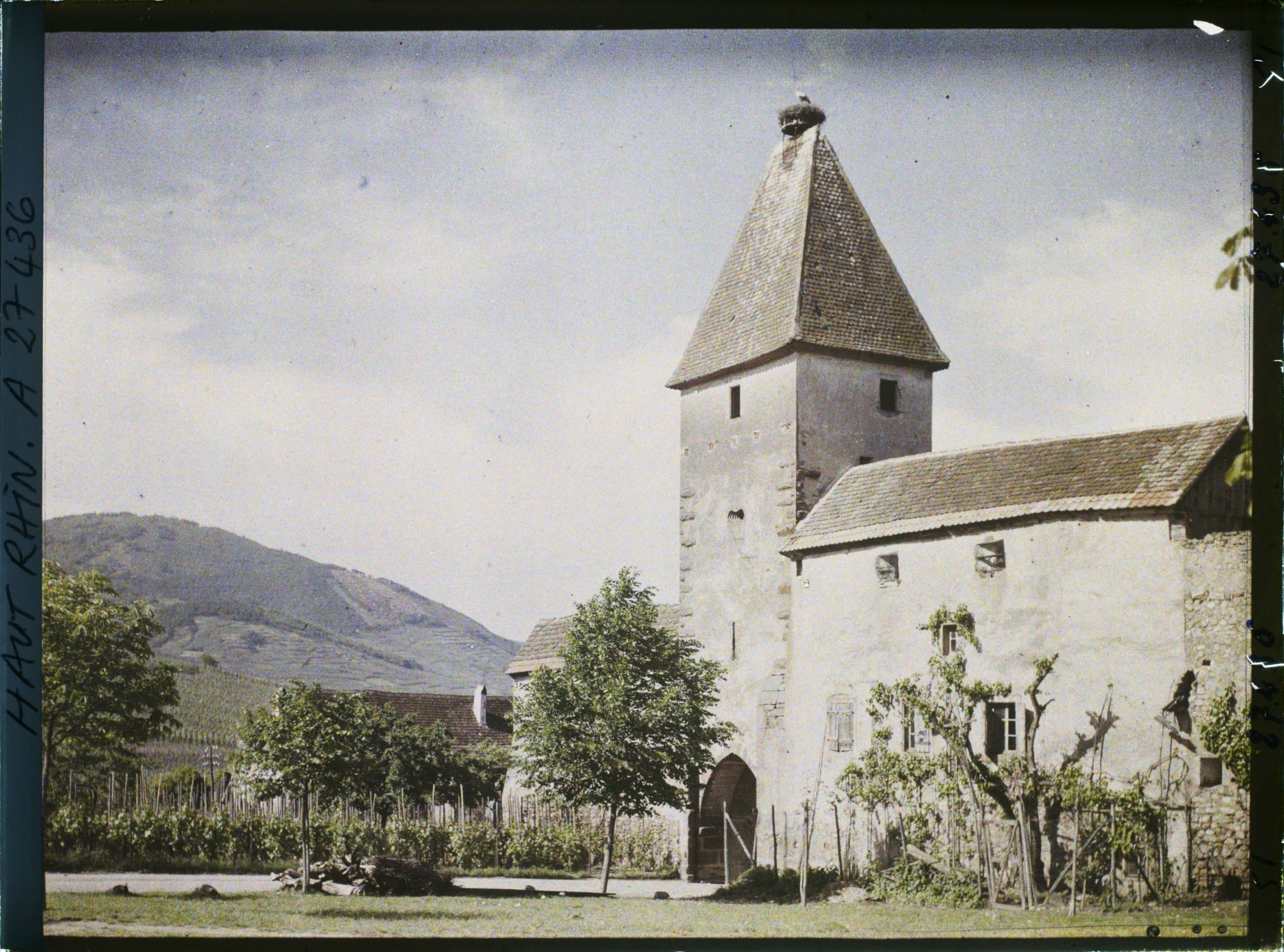 Image représentant France, Ammerschwihr, La Vieille Porte et le nid de Cigognes