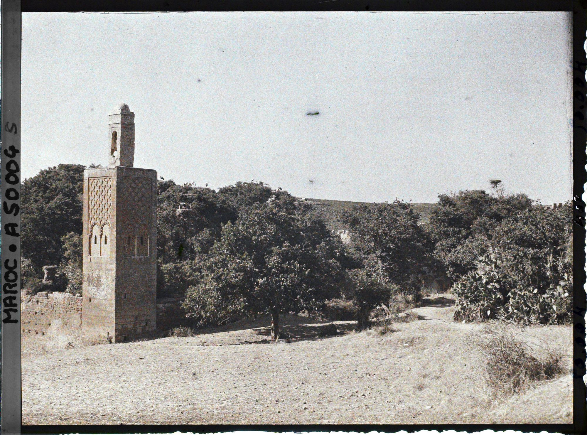 Image représentant Le minaret d'une mosquée