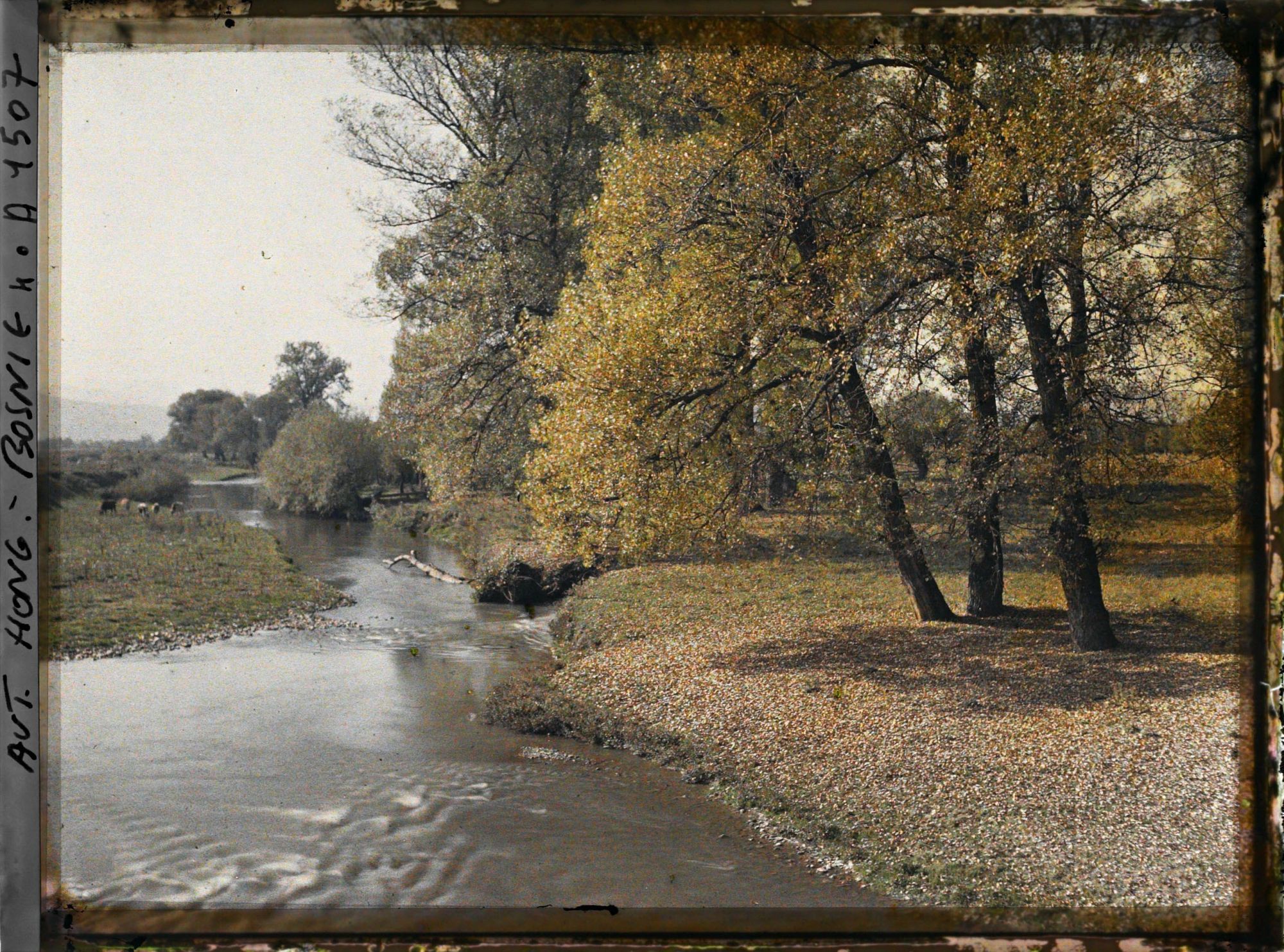 Image représentant La même [la rivière à l'entrée de la Poljé de Sarajevo] un peu plus vers la droite avec les arbres