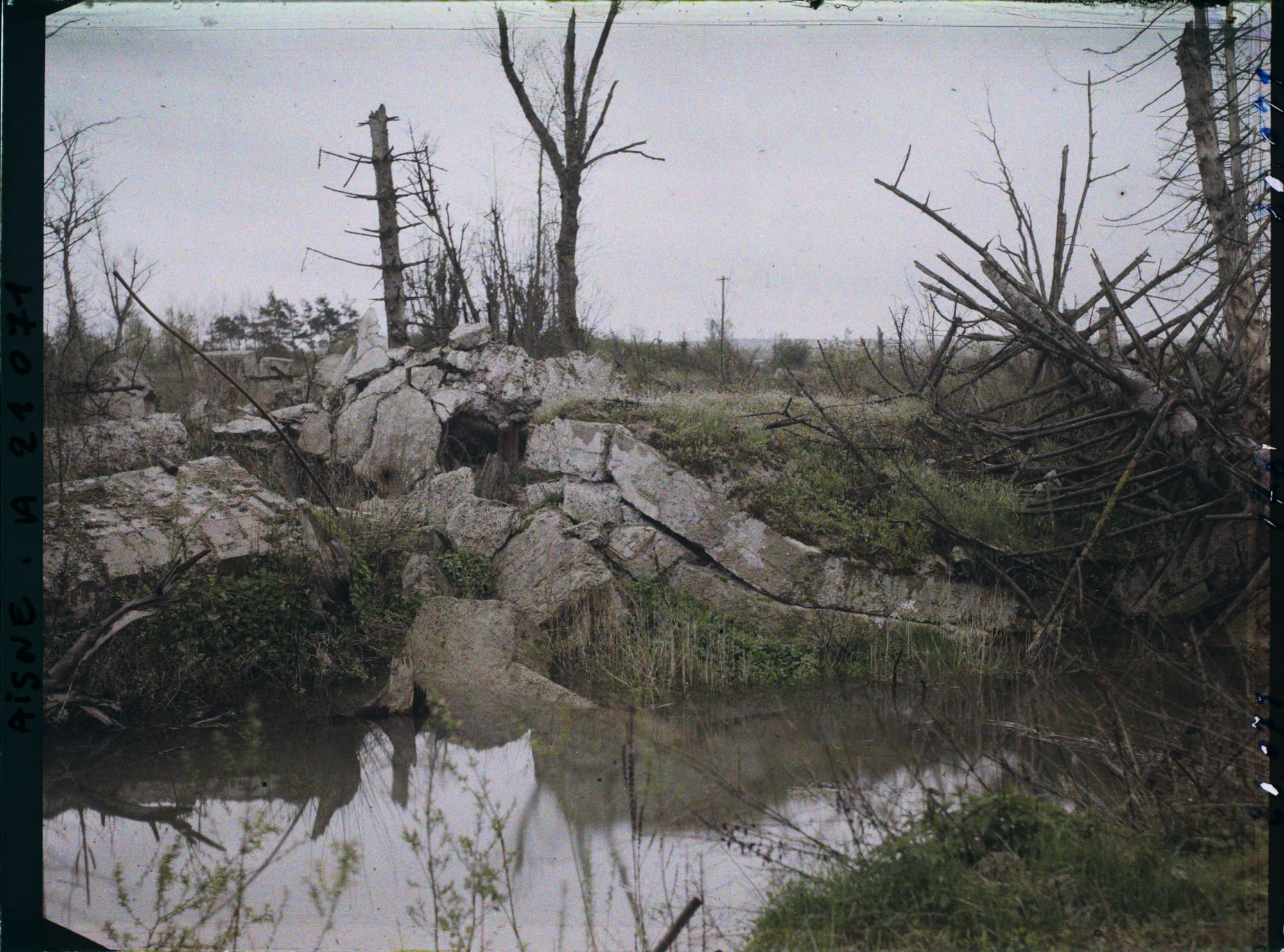 Image représentant France, Condé s/ Suippe, Rives de la Suippe