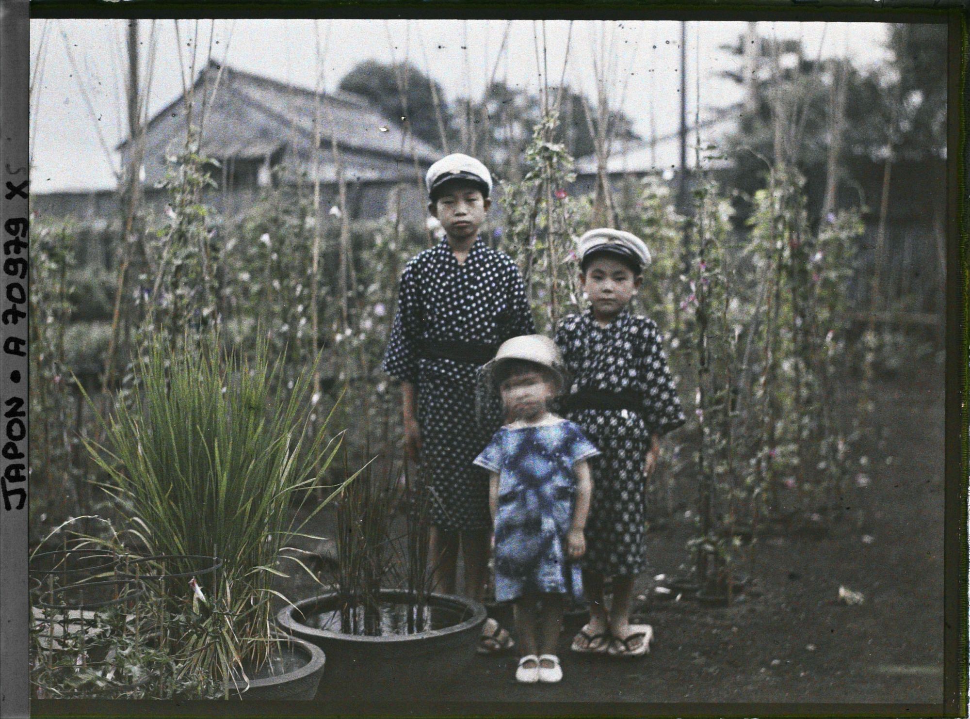 Image représentant Pépinière privée (?)