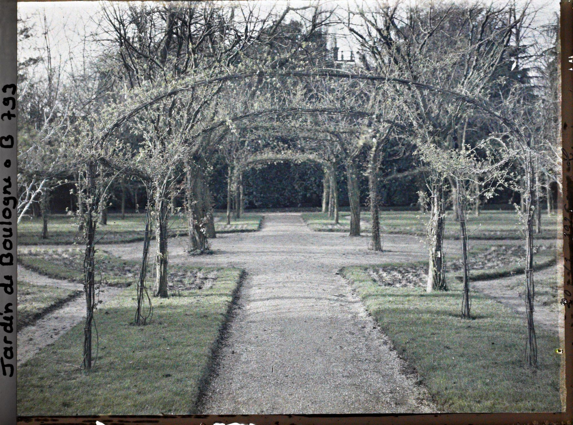 Image représentant Axe central du verger-roseraie vu en direction du rond-point situé à proximité de la dépendance