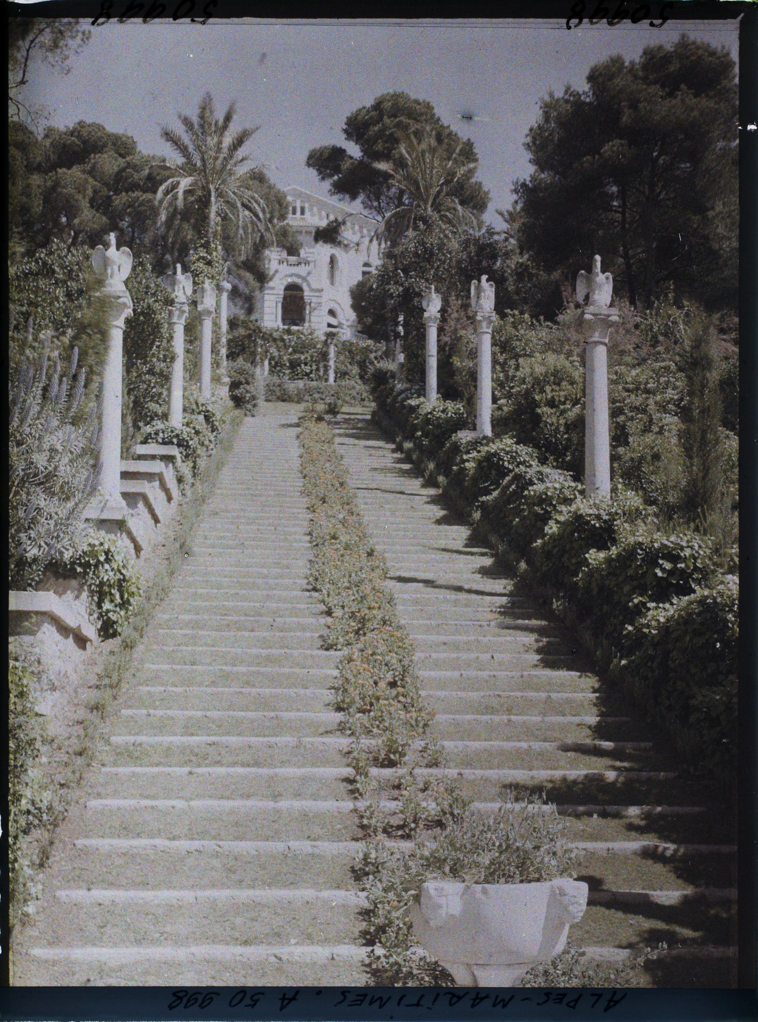 Image représentant La villa Cypris dominant le grand escalier fleuri de son jardin, ponctué de sculptures