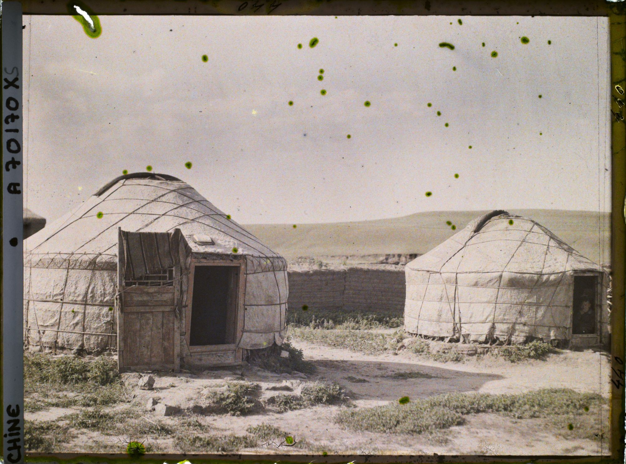 Image représentant Dans la steppe