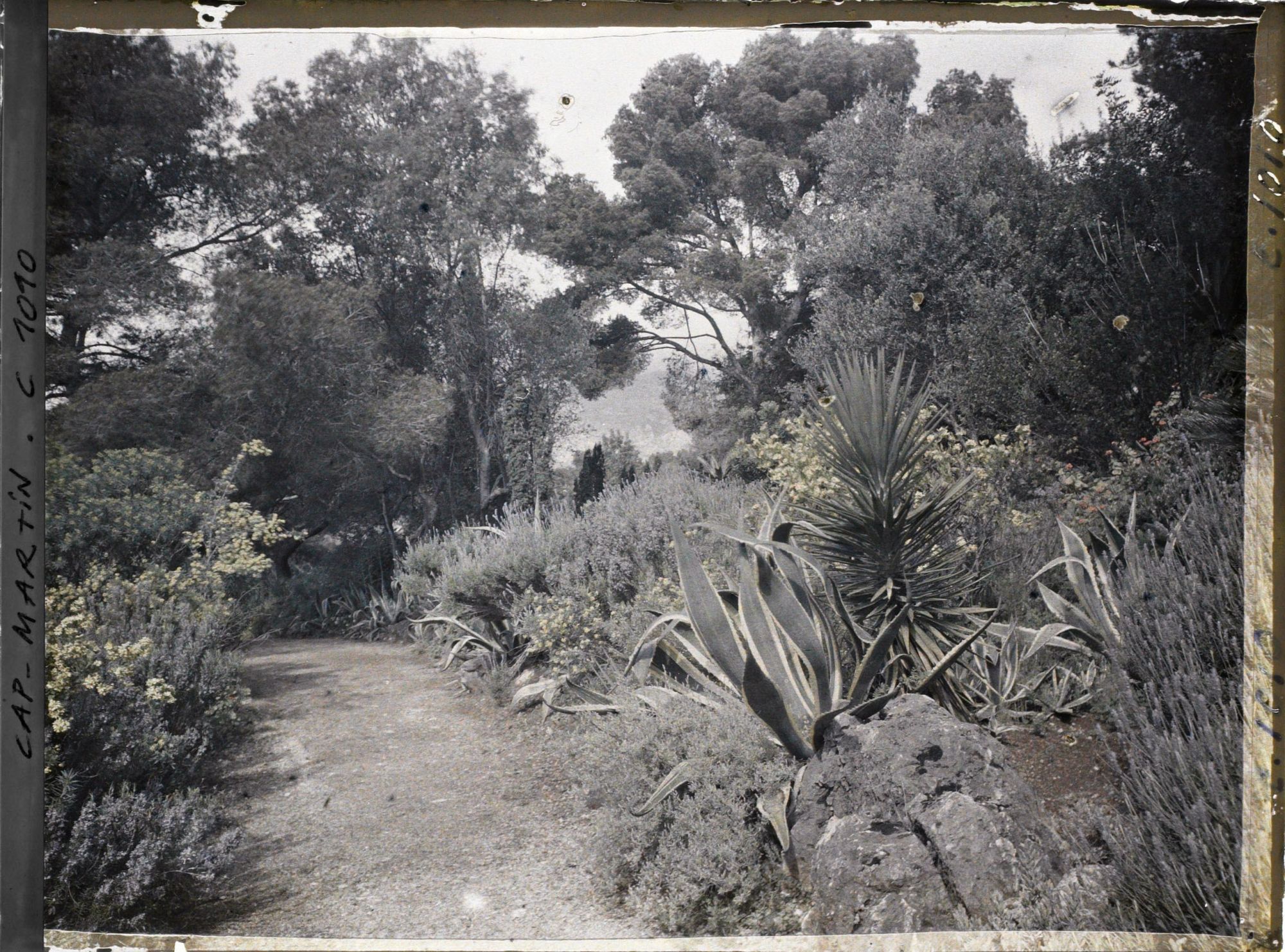 Image représentant Le Jardin