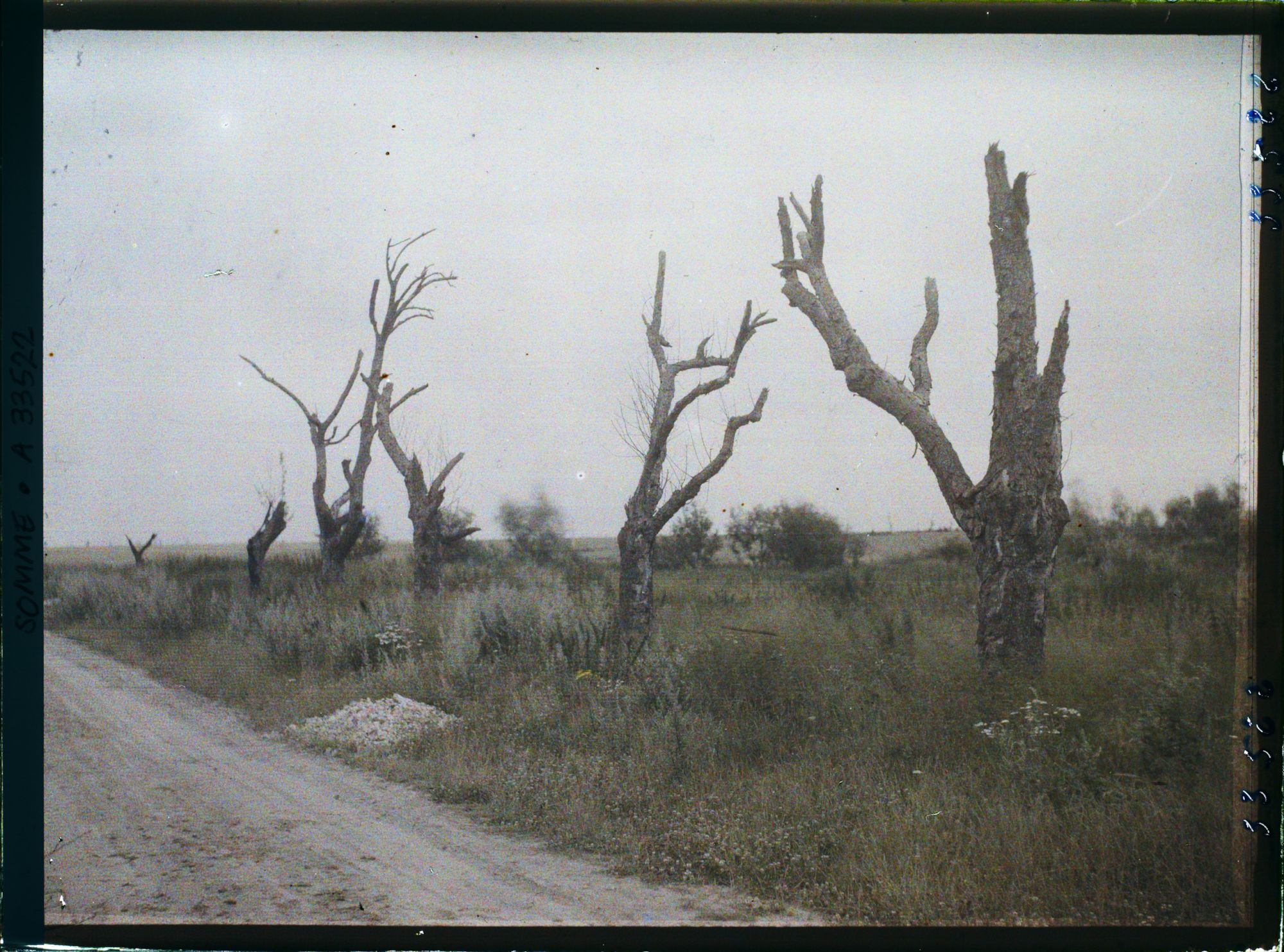 Image représentant France