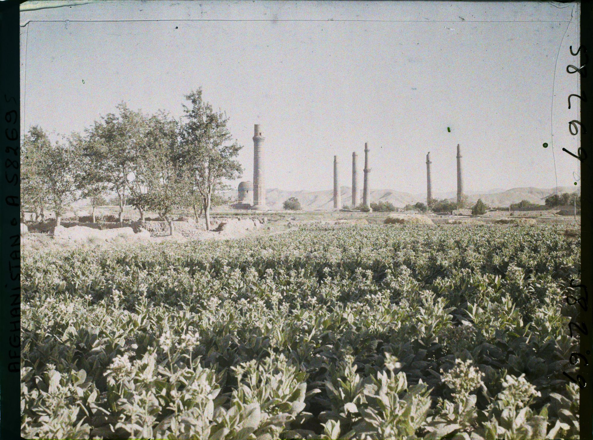 Image représentant Afghanistan, Hérat, Vue s/ les minarets de la gde mosquée