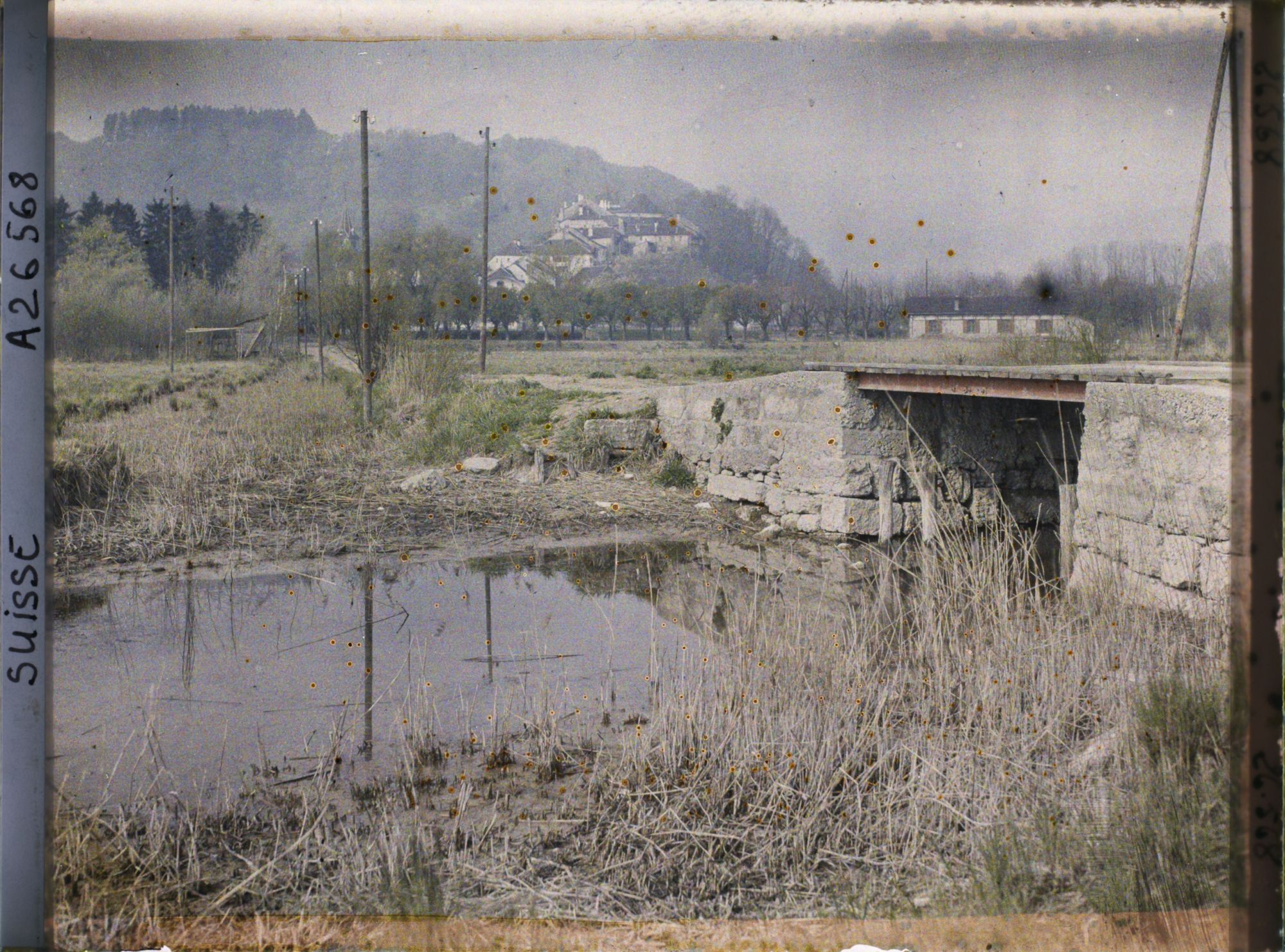 Image représentant La route de l'île Saint-Pierre et le château de Cerlier