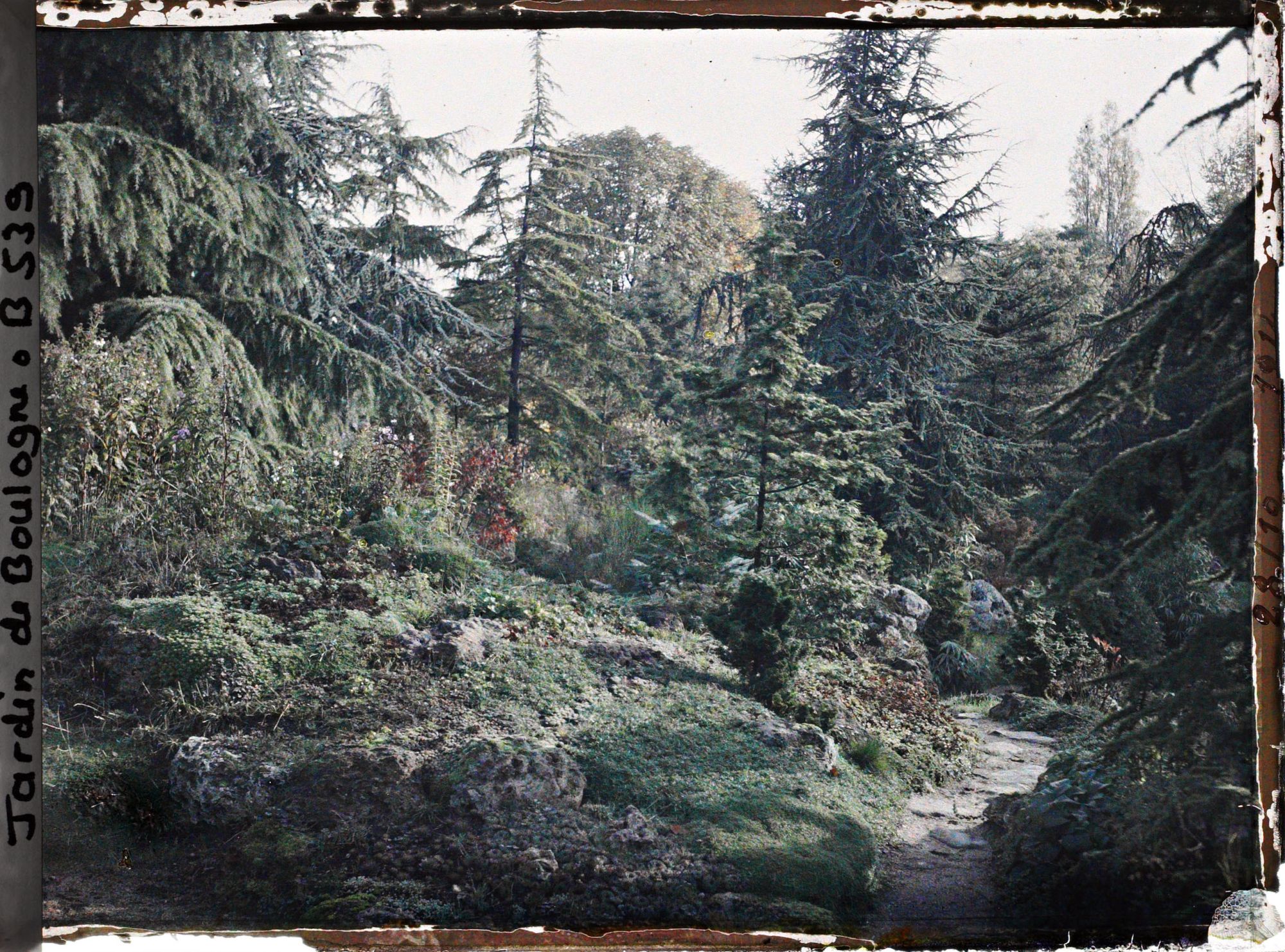 Image représentant Rocaille au bord d'un chemin du " sanctuaire japonais " menant du sôrintô au " village japonais "