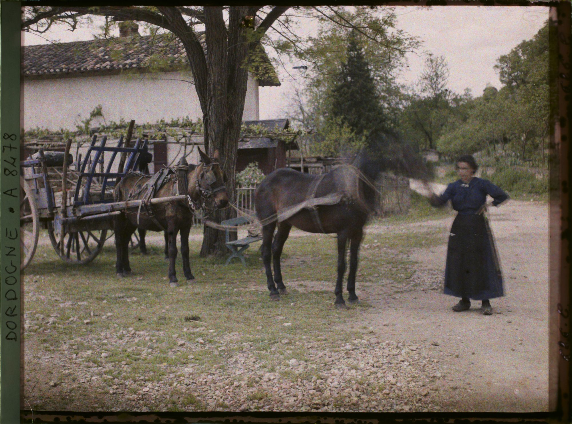 Image représentant France, Les Eyzies, La femme du roulier qui fait le roulier depuis la guerre née au Moustier