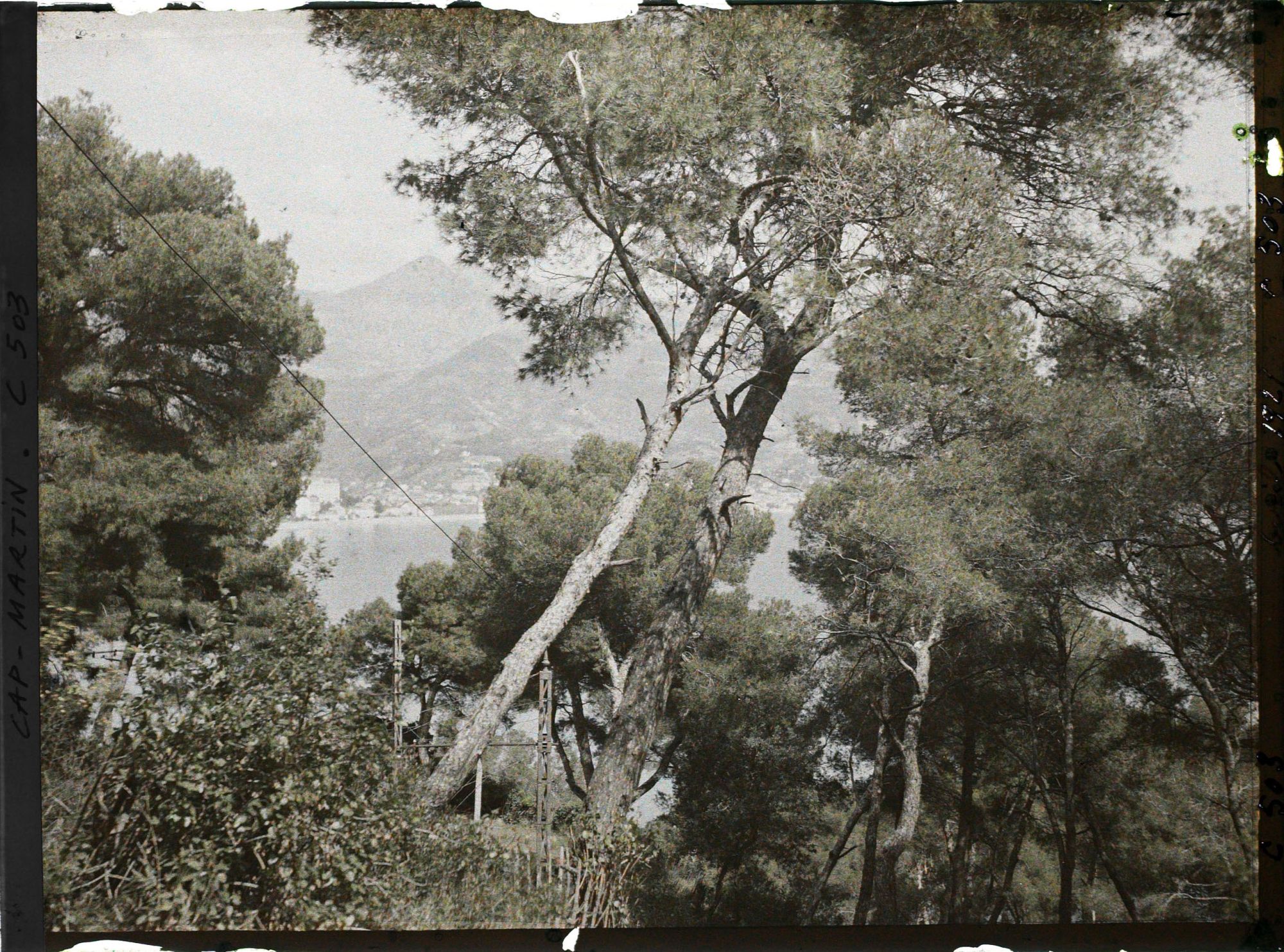 Image représentant Cap Martin Le Jardin