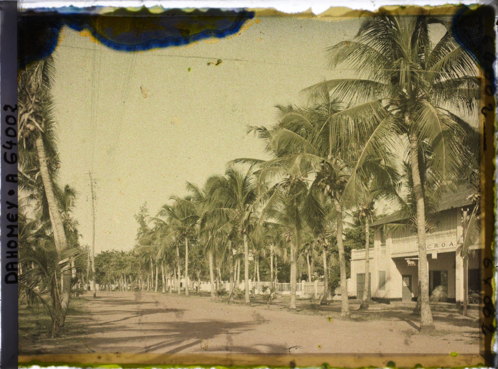 Image représentant L'avenue de la Lagune dans le quartier européen