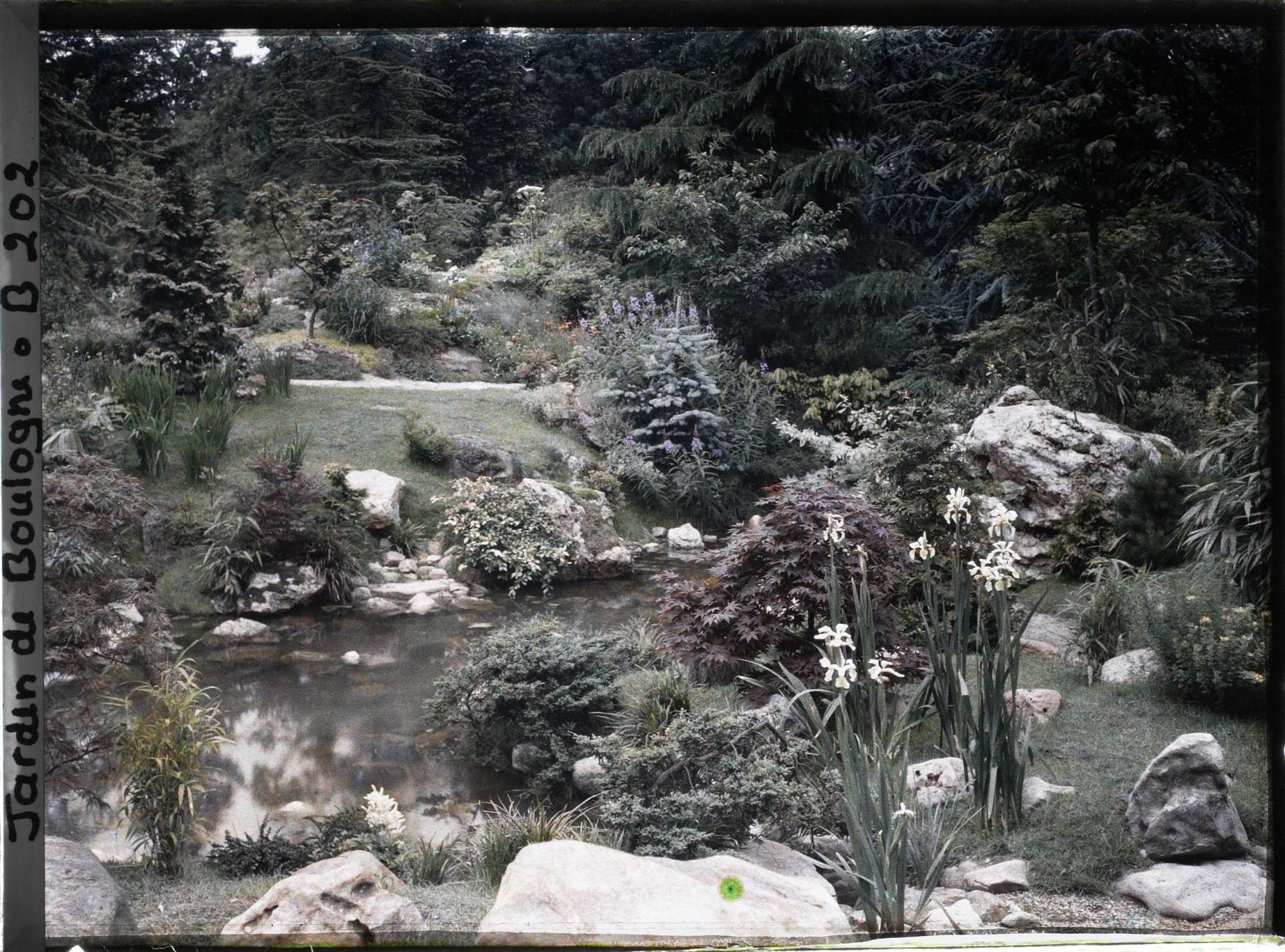 Image représentant Paysage arboré du " sanctuaire japonais " sur les rives d'un cours d'eau