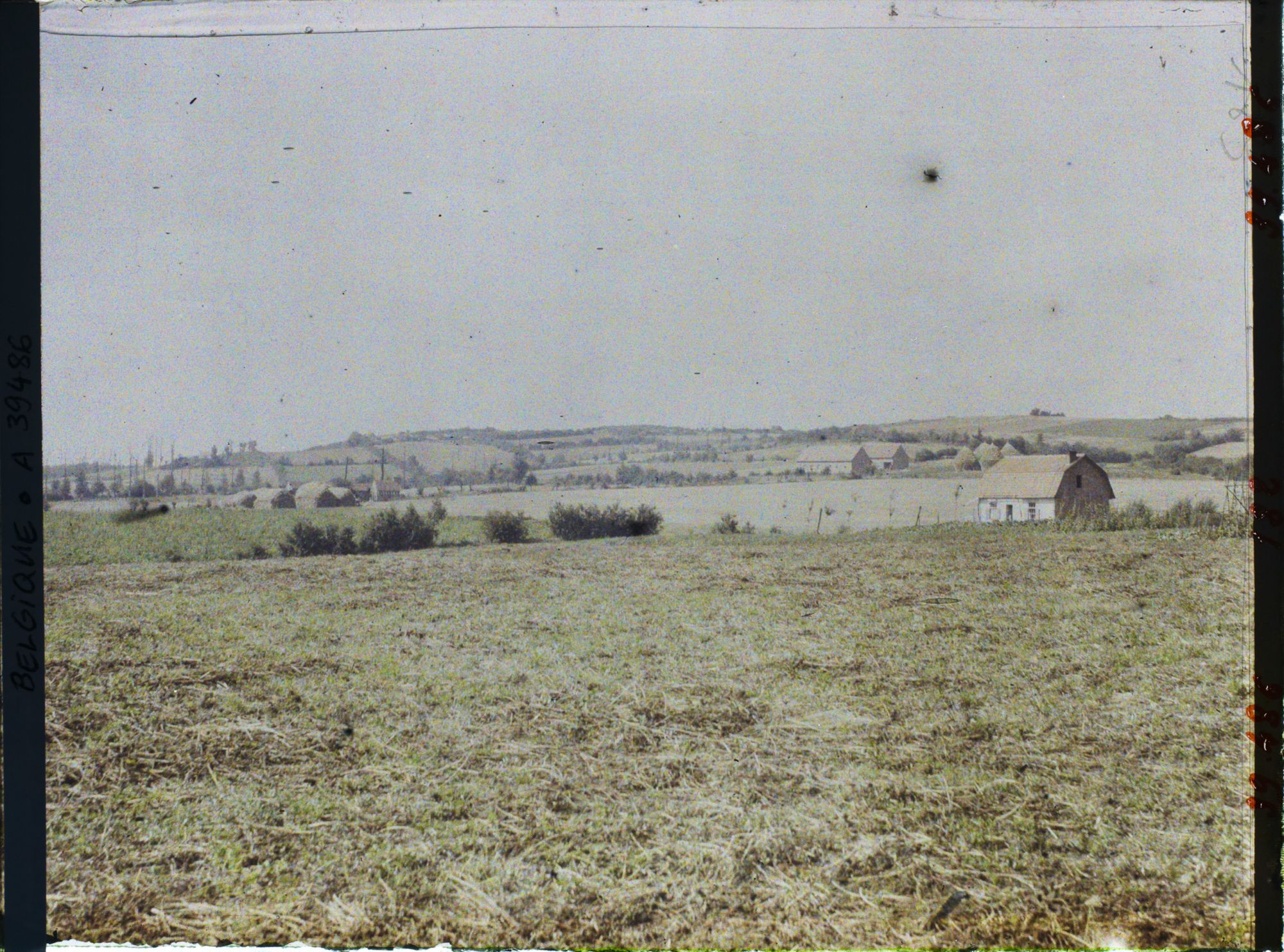 Image représentant Belgique, Locre, Aspect du Pays au pied du Mont Rouge