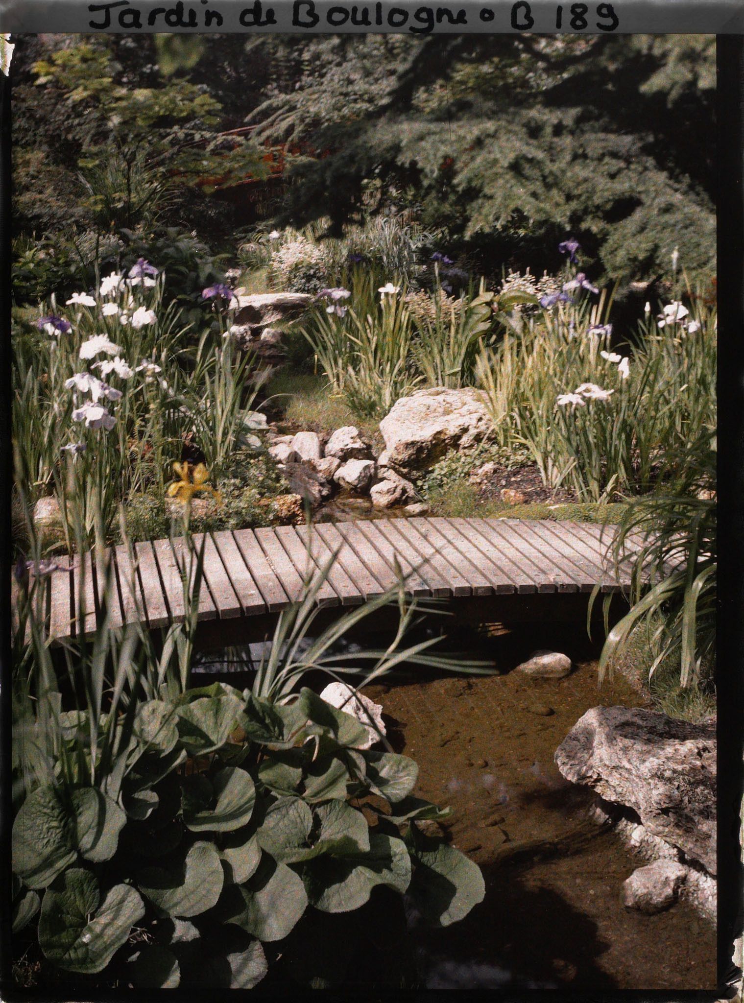 Image représentant Passerelle de bois puis pont rouge enjambant un ruisseau fleuri du " sanctuaire japonais "