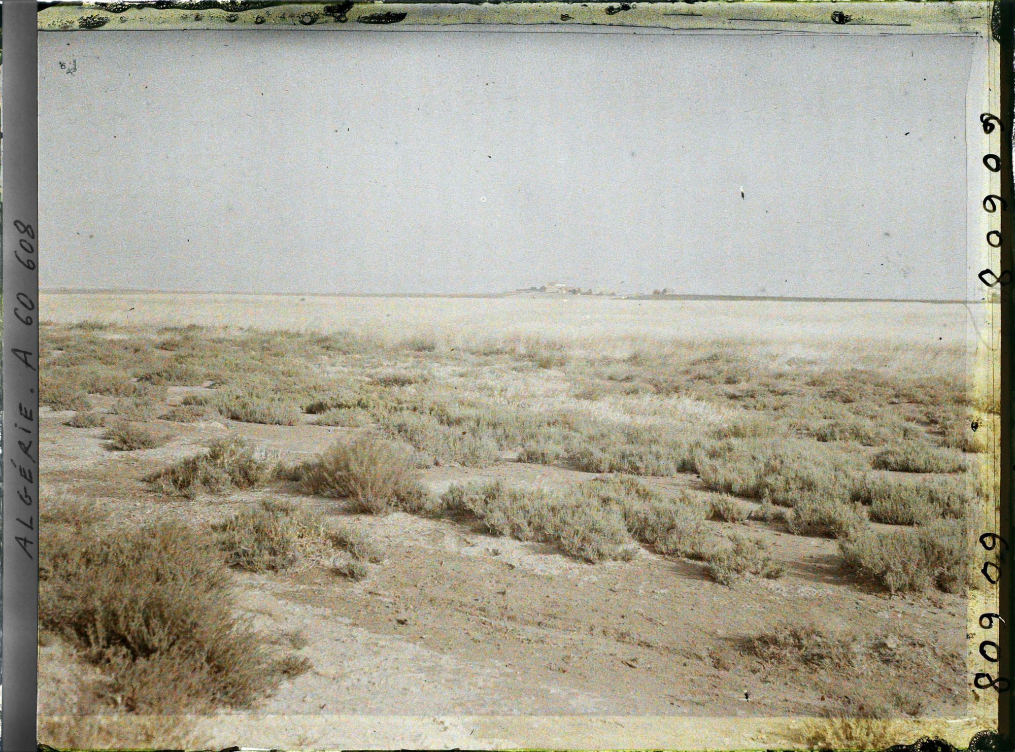 Image représentant La berge de la grande Sebkha d'Oran