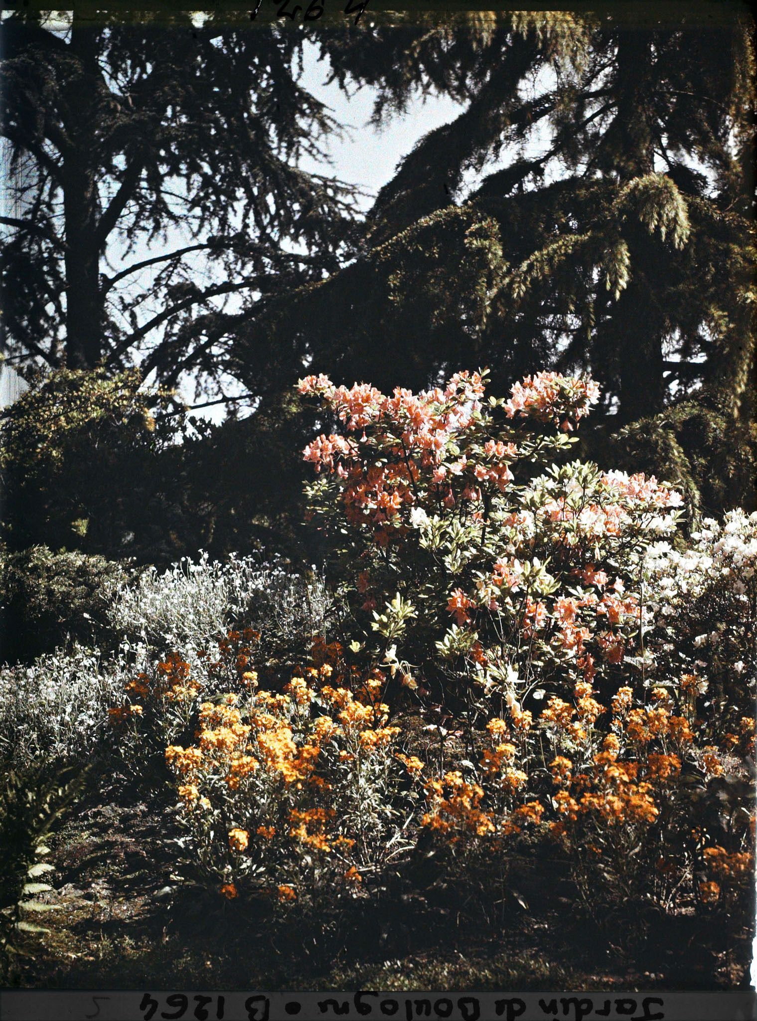 Image représentant Massif fleuri du " sanctuaire japonais " situé entre le " village japonais " et le sorinto