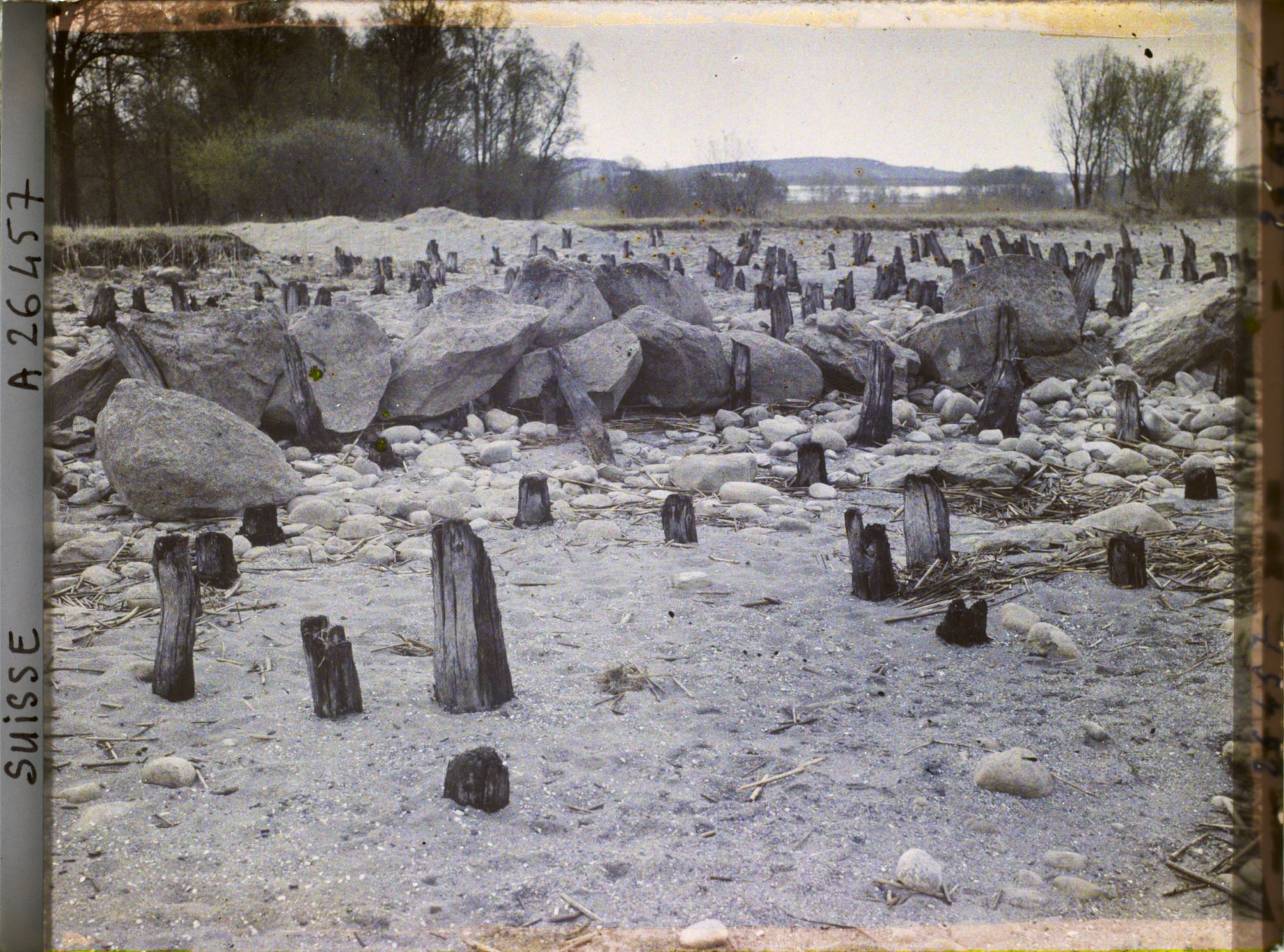 Image représentant Site palafittique préhistorique des Alpes, pieux en bois visibles lors de la baisse des eaux après la grande sécheresse de 1921