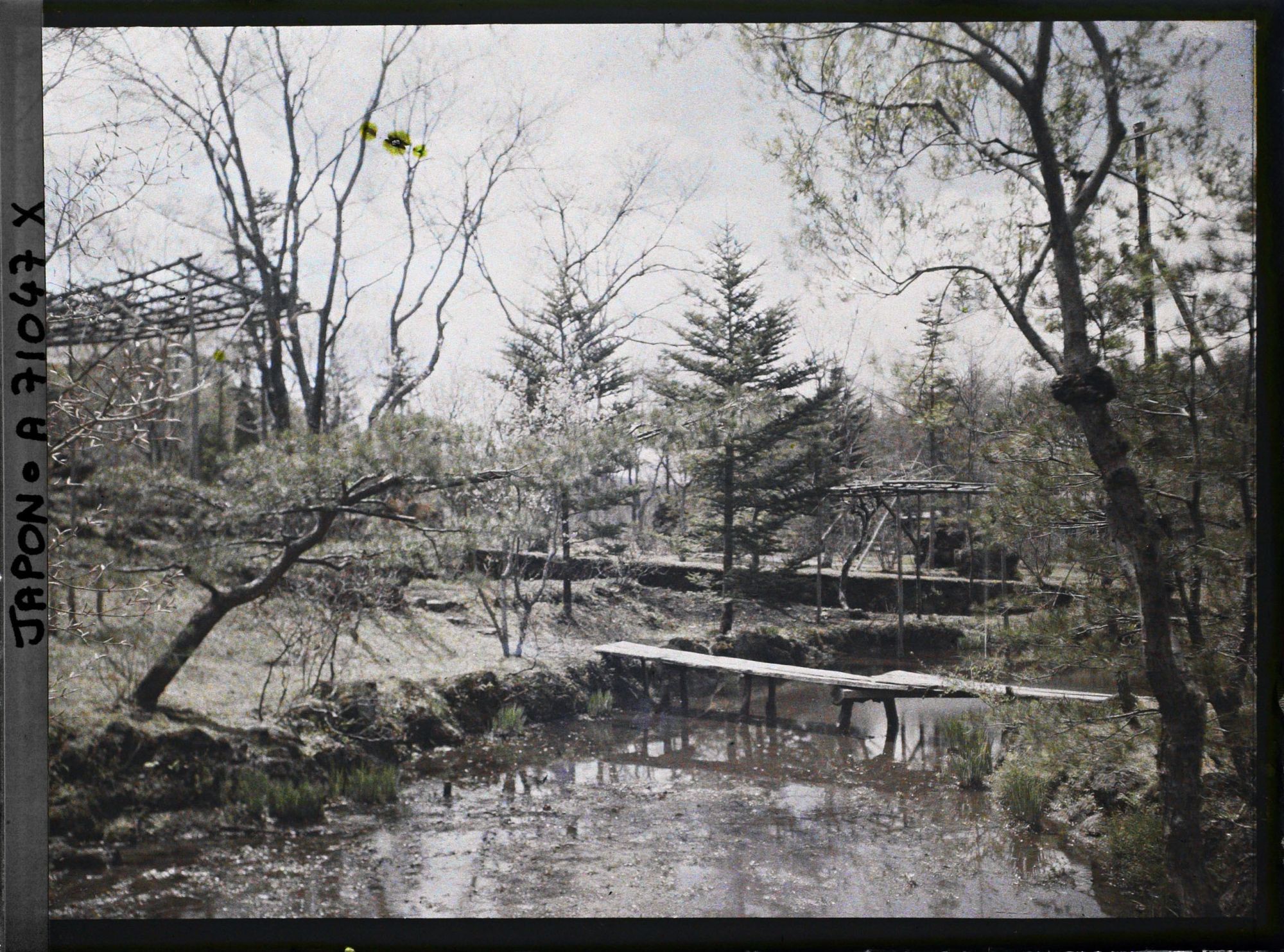 Image représentant Jardin ou parc
