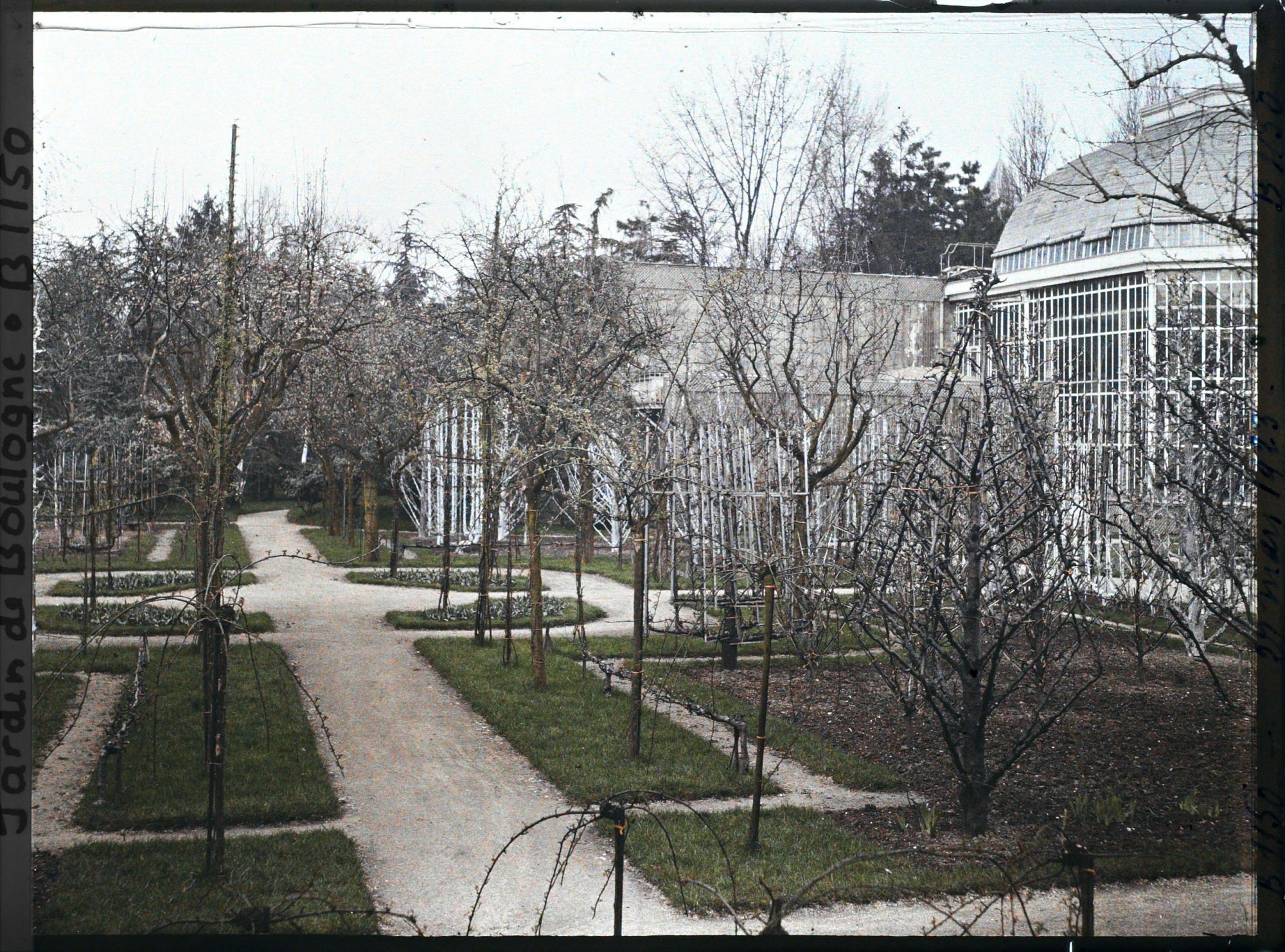 Image représentant Partie est du verger-roseraie en début de printemps, traversée par une allée menant à la forêt bleue