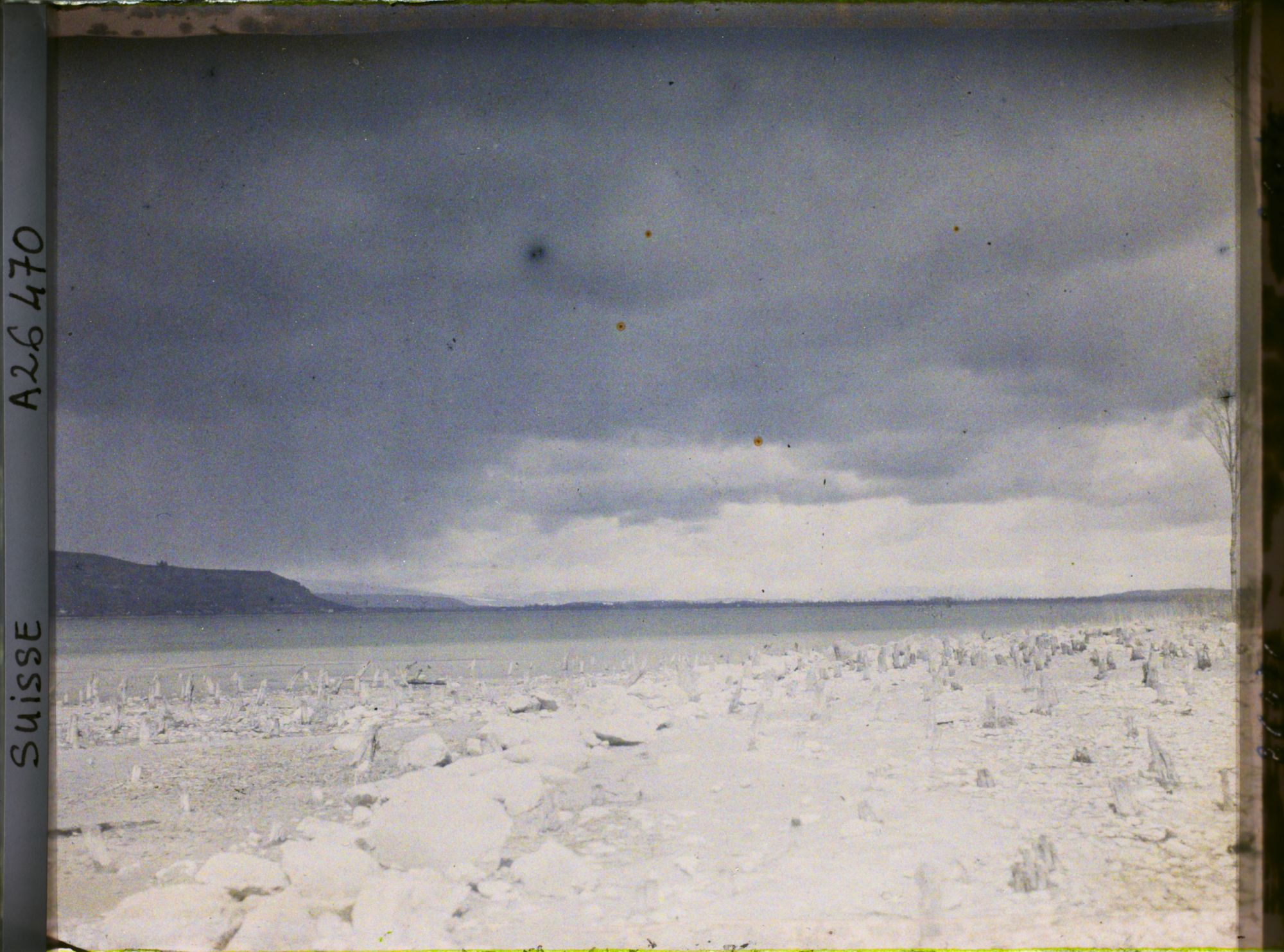 Image représentant Site palafittique préhistorique des Alpes, pieux en bois visibles lors de la baisse des eaux après la grande sécheresse de 1921