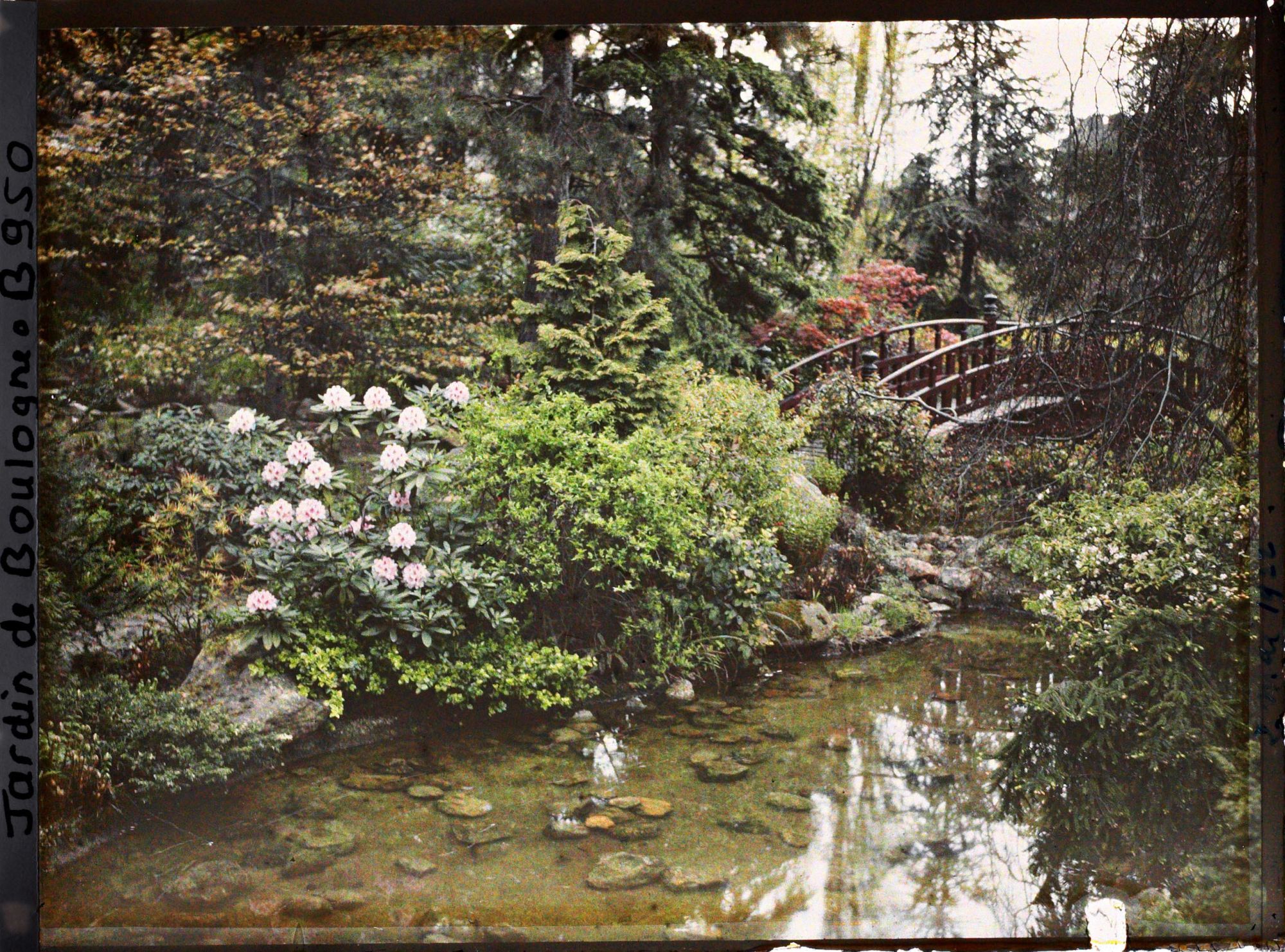 Image représentant Berge de ruisseau arborée, vue en direction du quai, près du pont rouge du " sanctuaire japonais "