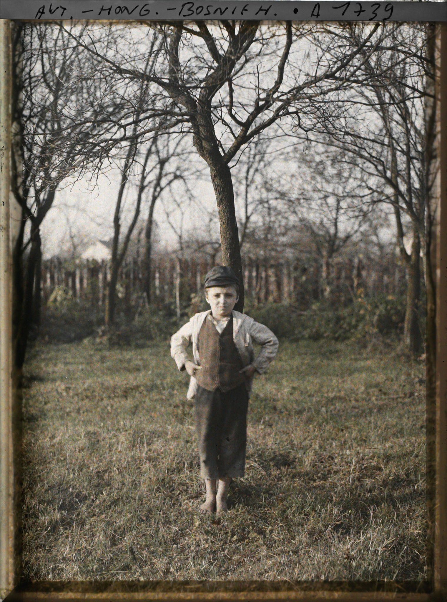 Image représentant Jeune garçon serbe