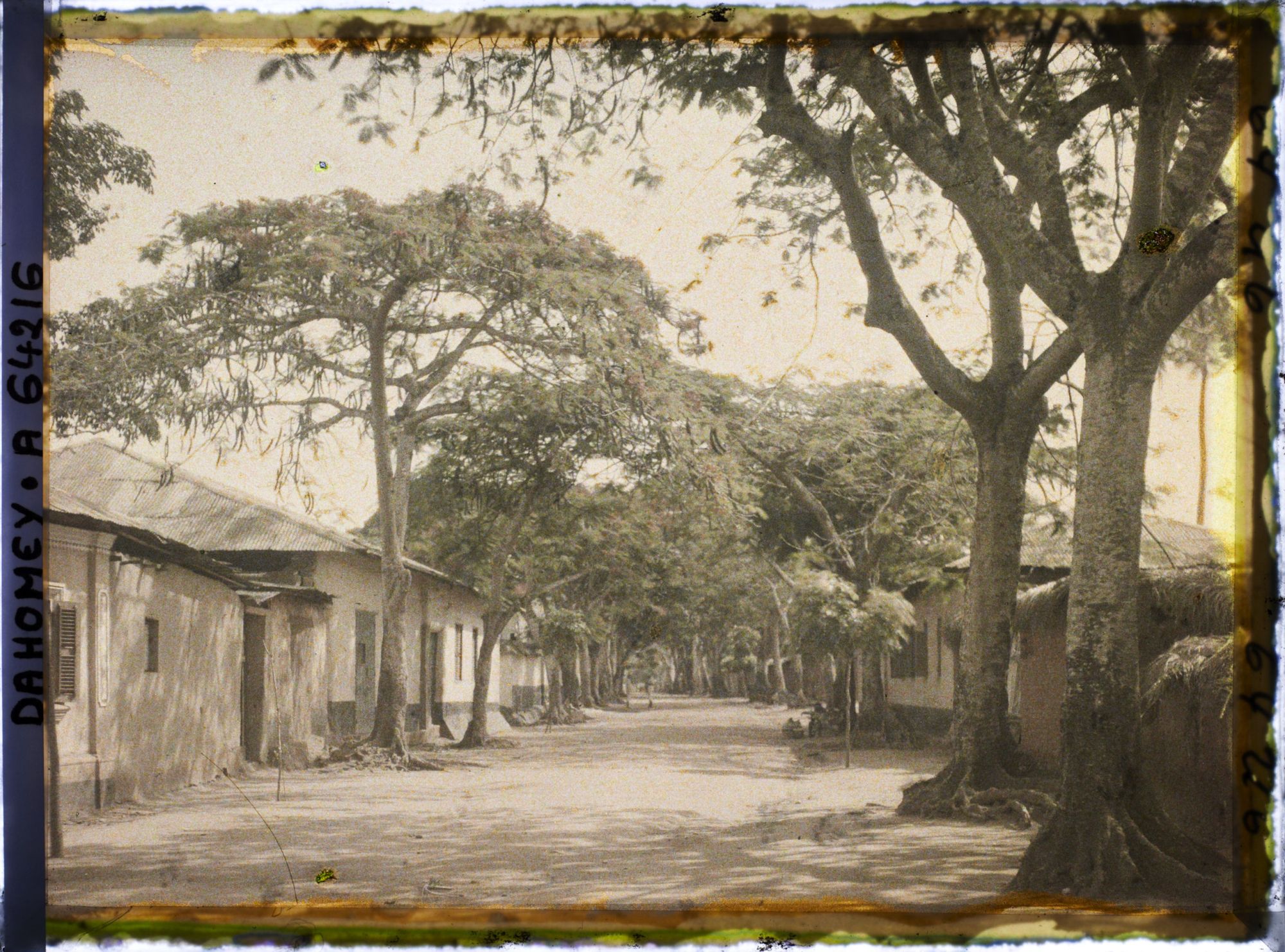 Image représentant L'avenue Gabrielle