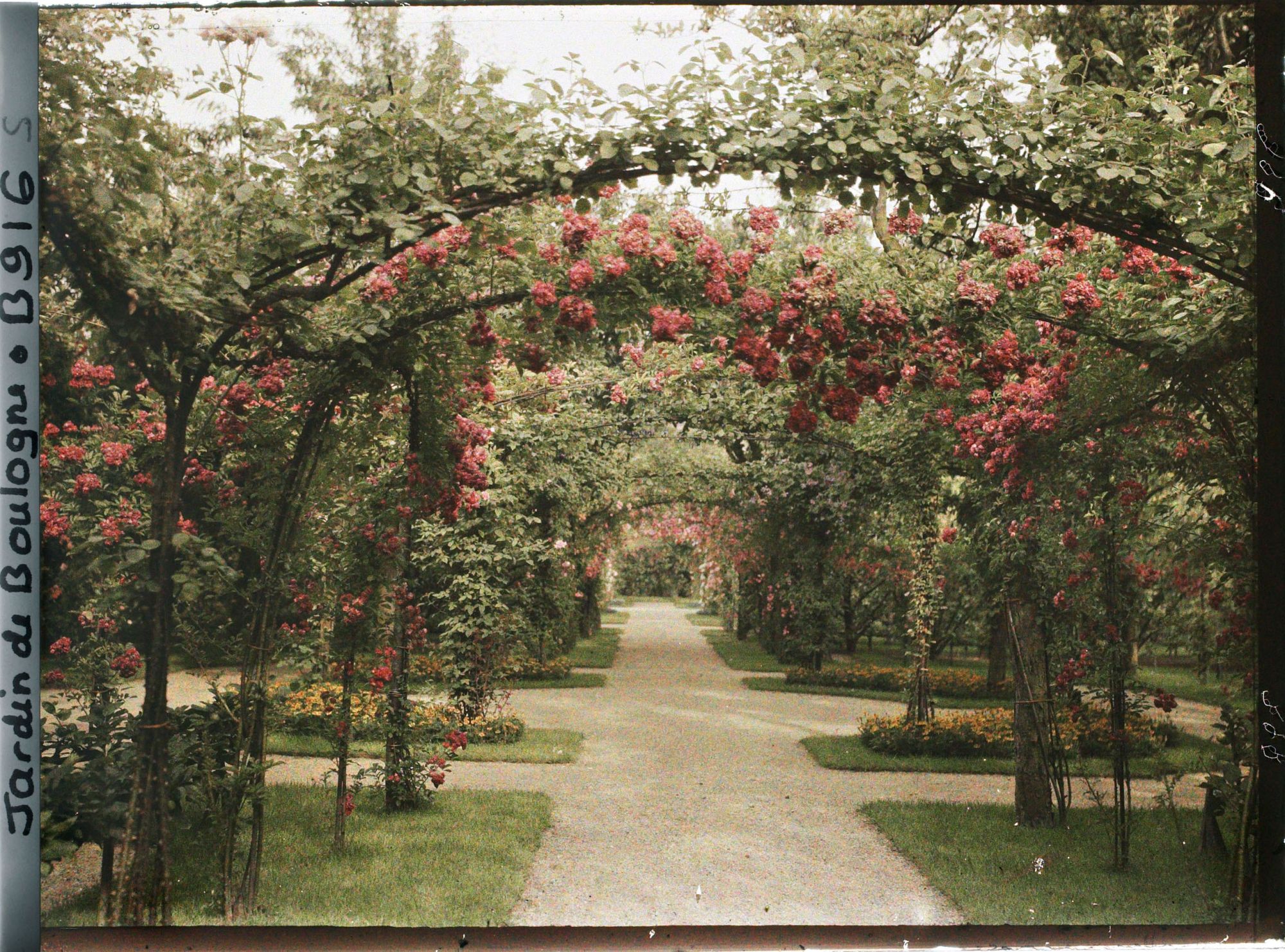 Image représentant Axe central du verger-roseraie vu en direction de la dépendance, à proximité du jardin français