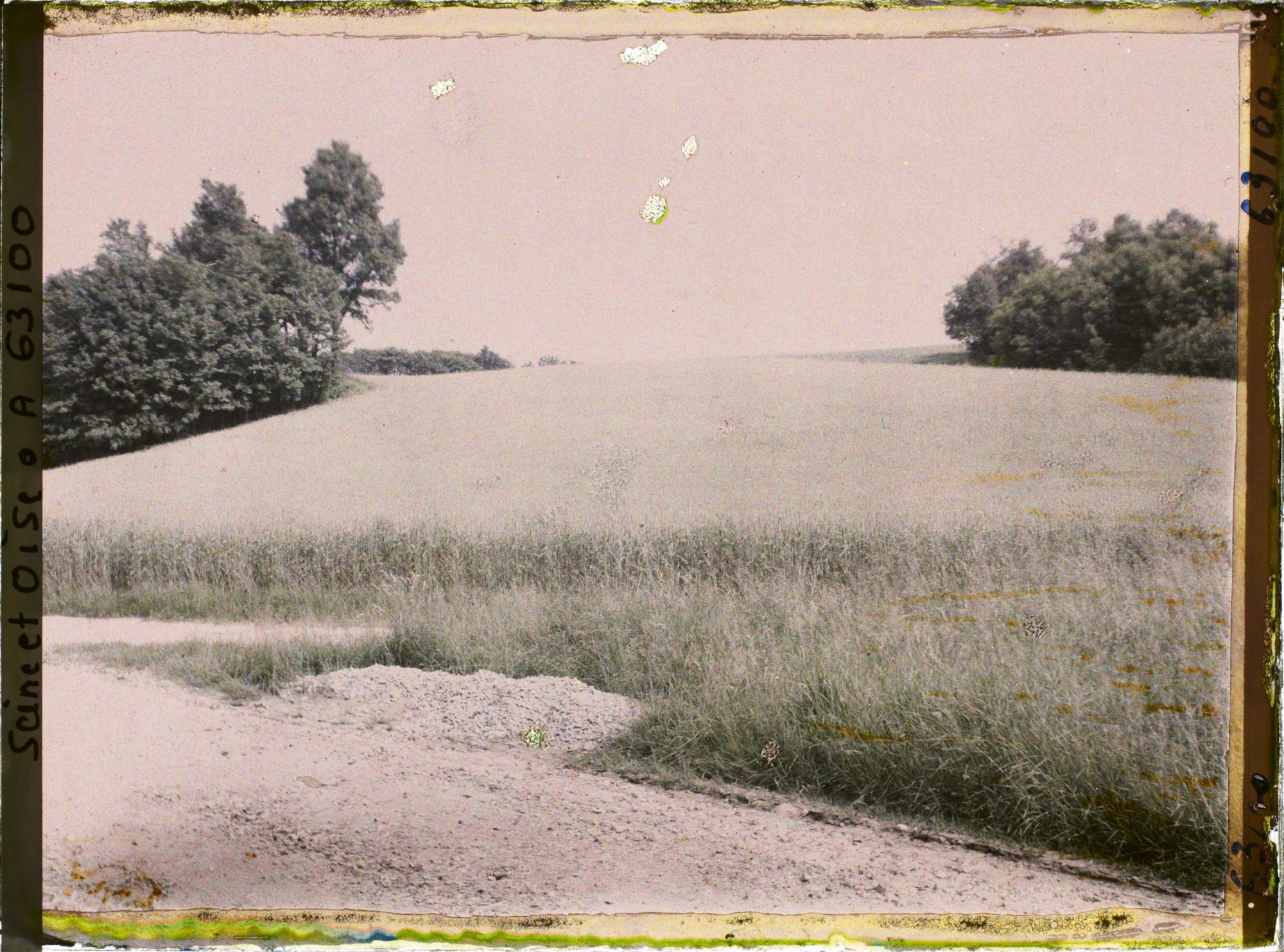 Image représentant Ile de France, Luzarches, Champ de blé en plaine