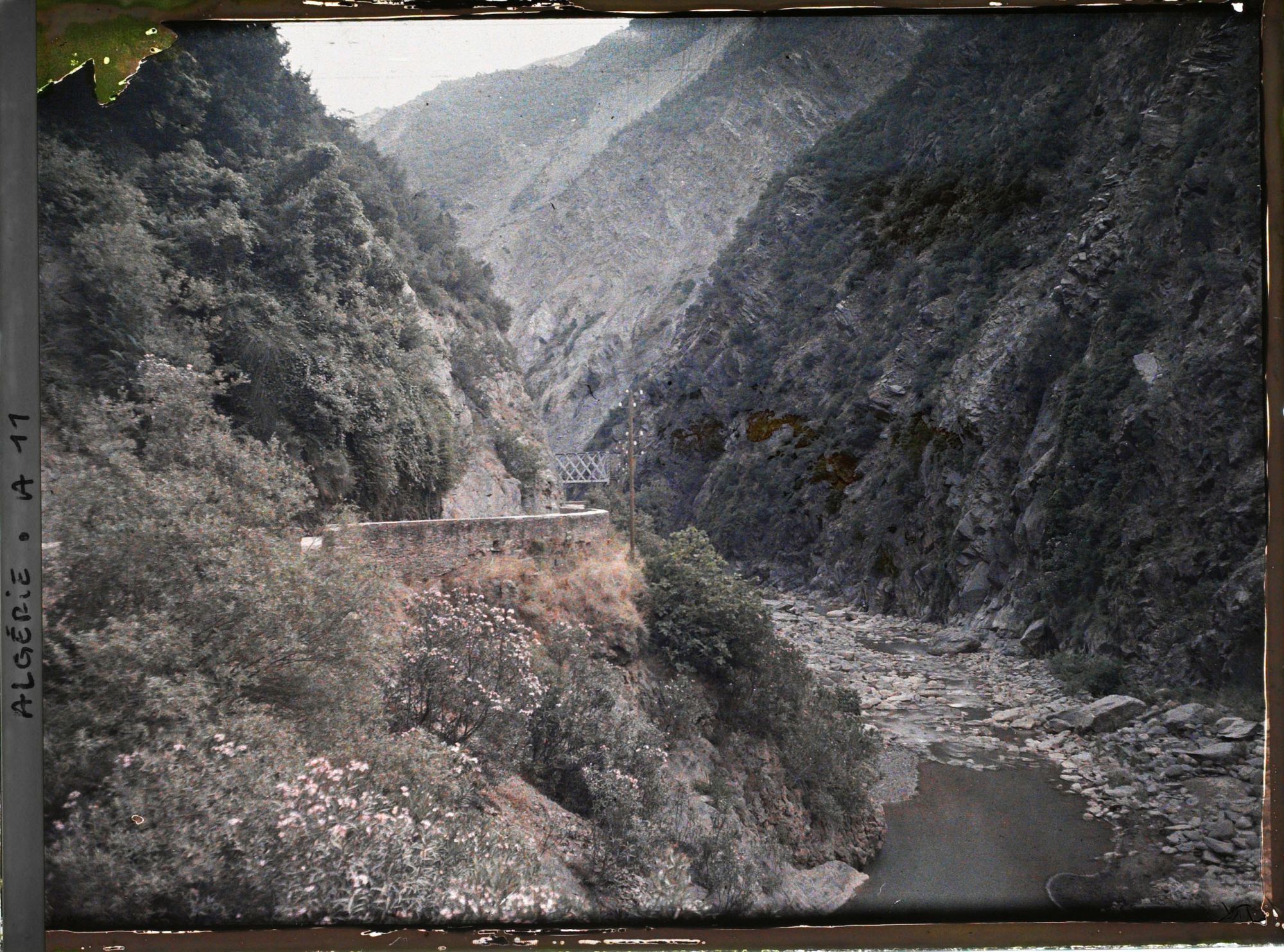 Image représentant Les gorges de la Chiffa