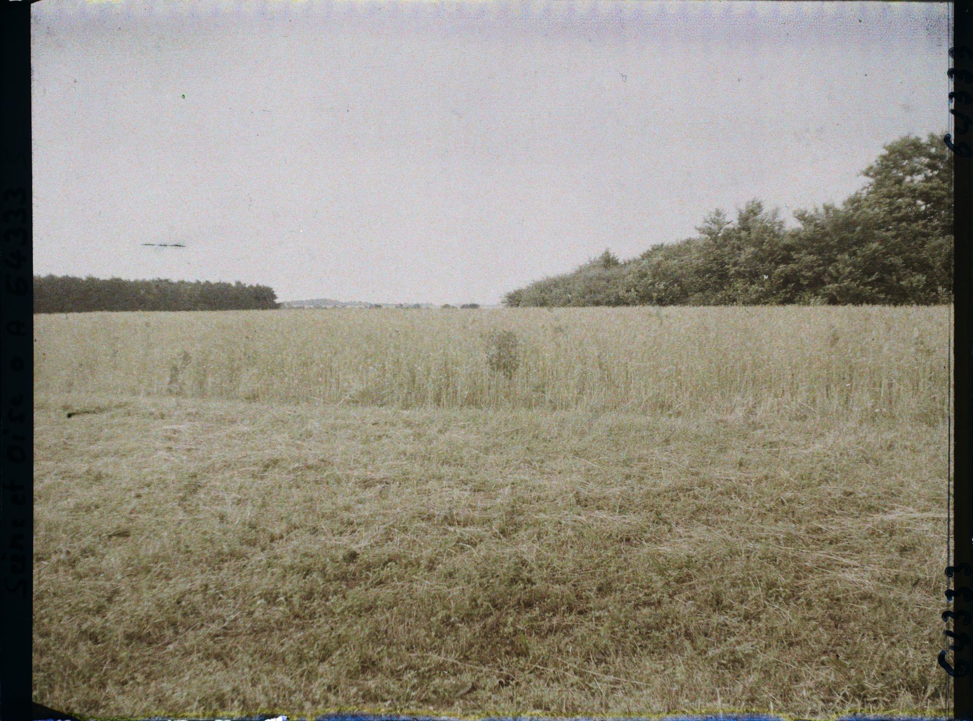 Image représentant Ile de France, Vallangoujard, Champ de blé