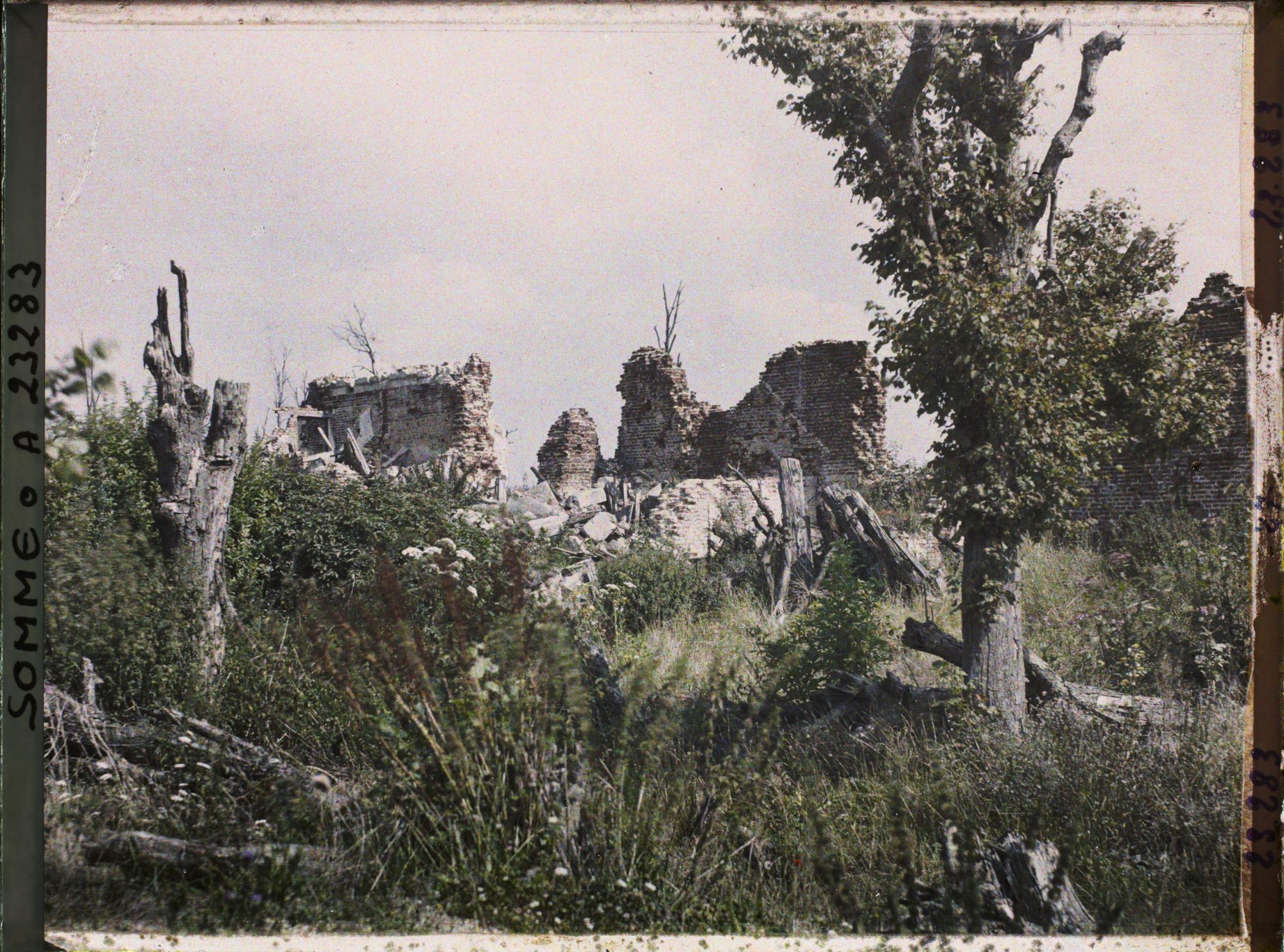 Image représentant France, Mt St Quentin, Ruines du Château