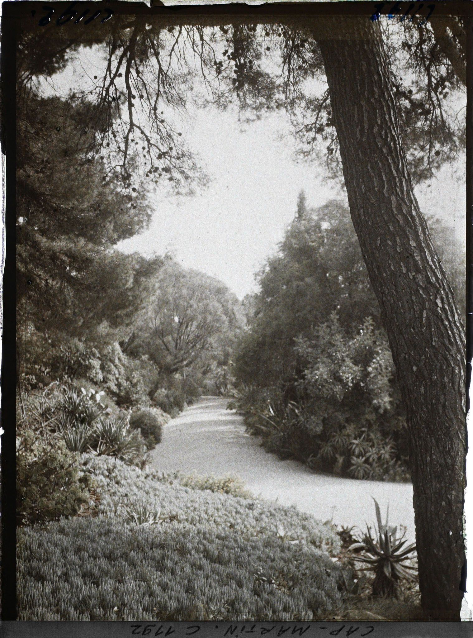 Image représentant le Jardin