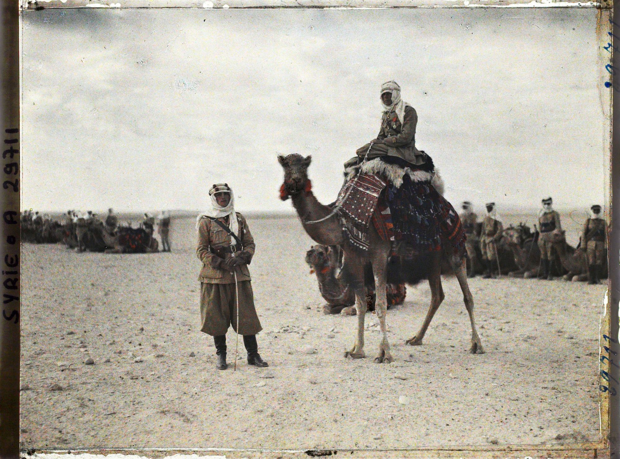 Image représentant Officiers des troupes françaises à dromadaire